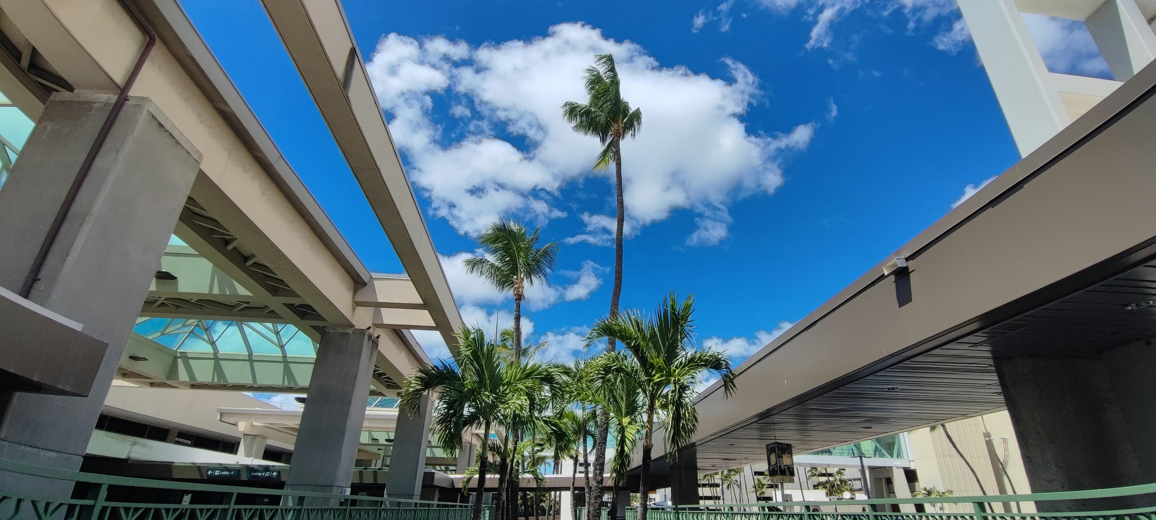 Tall palm trees under a blue sky with white clouds and modern buildings