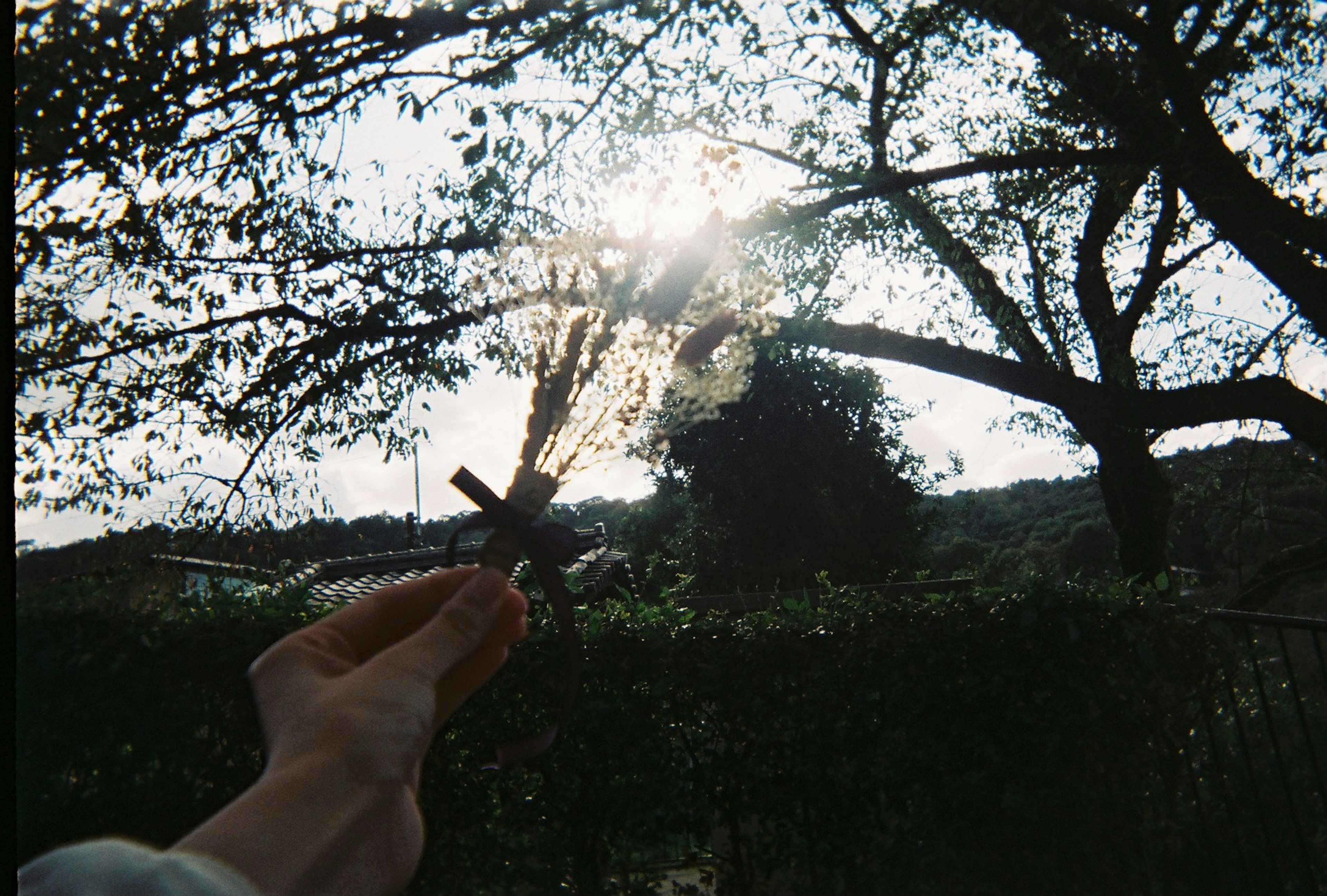 Una mano sosteniendo una cruz con la luz del sol filtrándose a través de los árboles de fondo