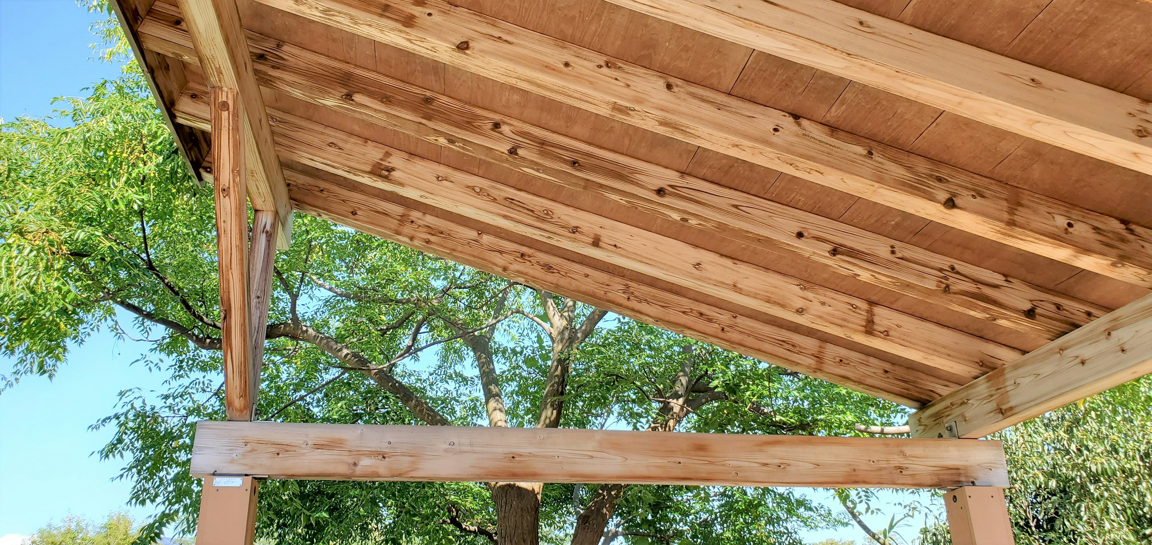 View looking up at a wooden roof with visible beams and supports Green trees in the background under a bright blue sky