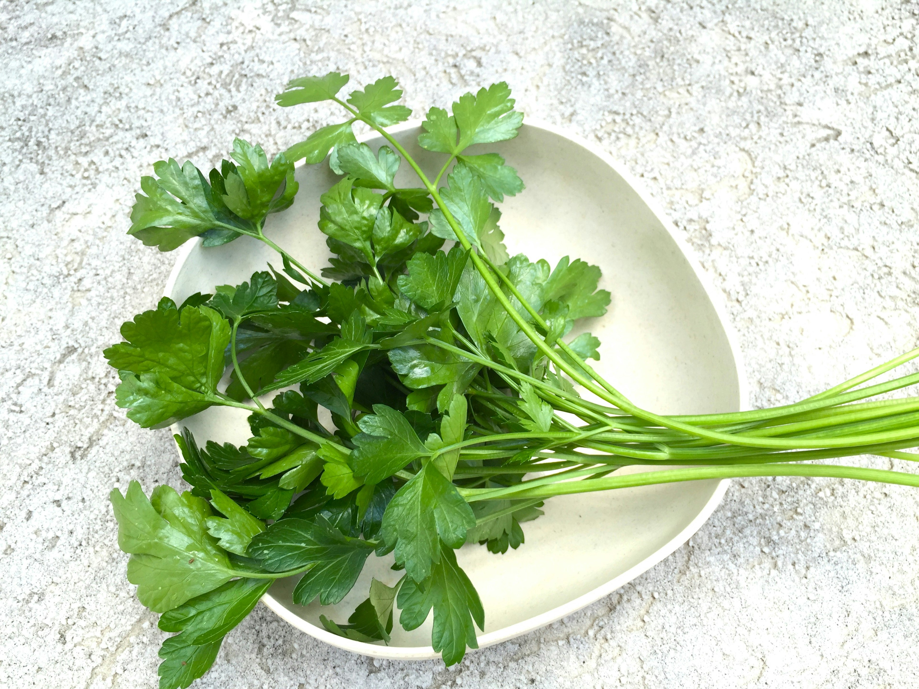 Fresh parsley arranged on a white plate