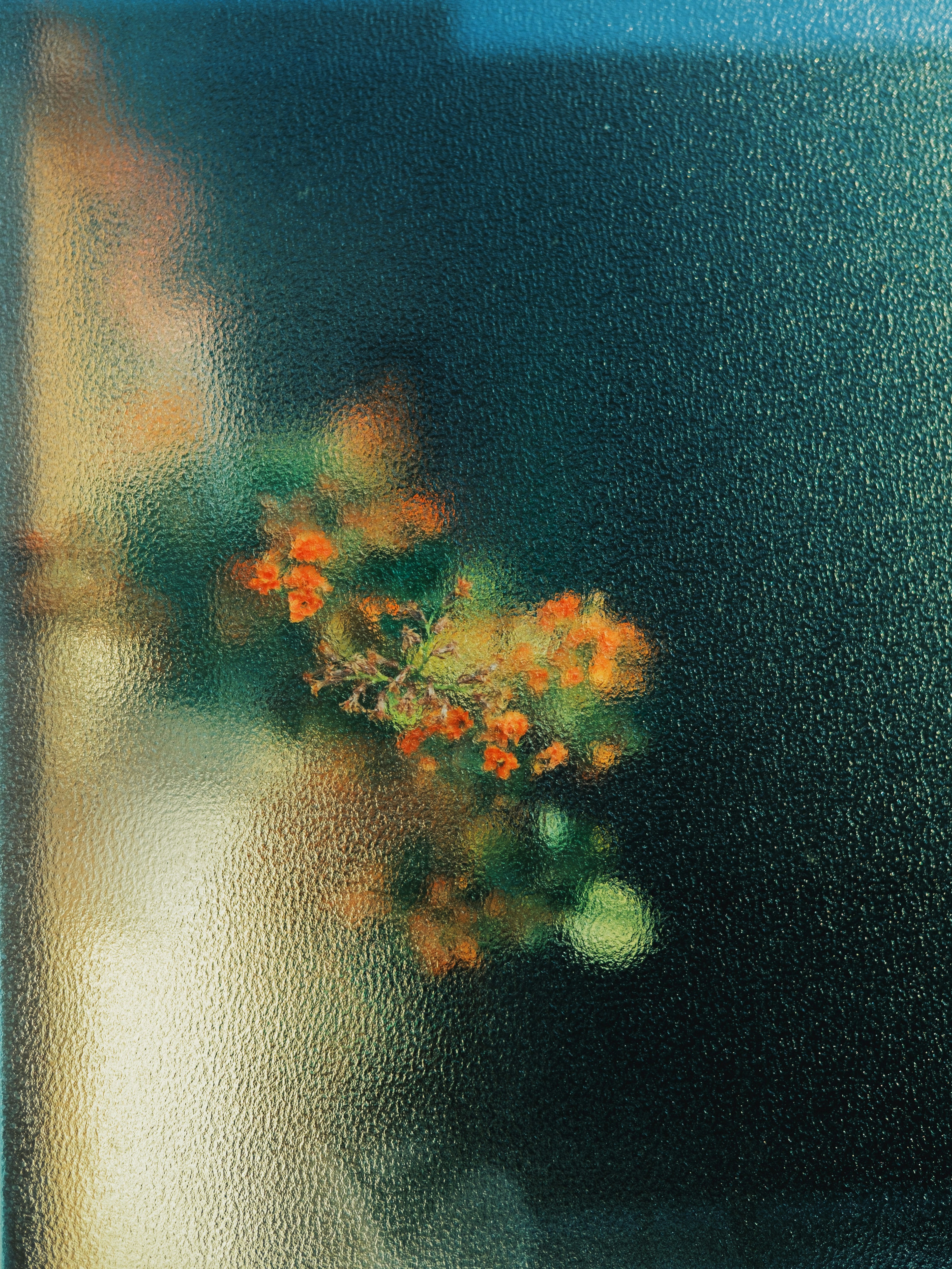 Blurred view of orange flowers outside a window