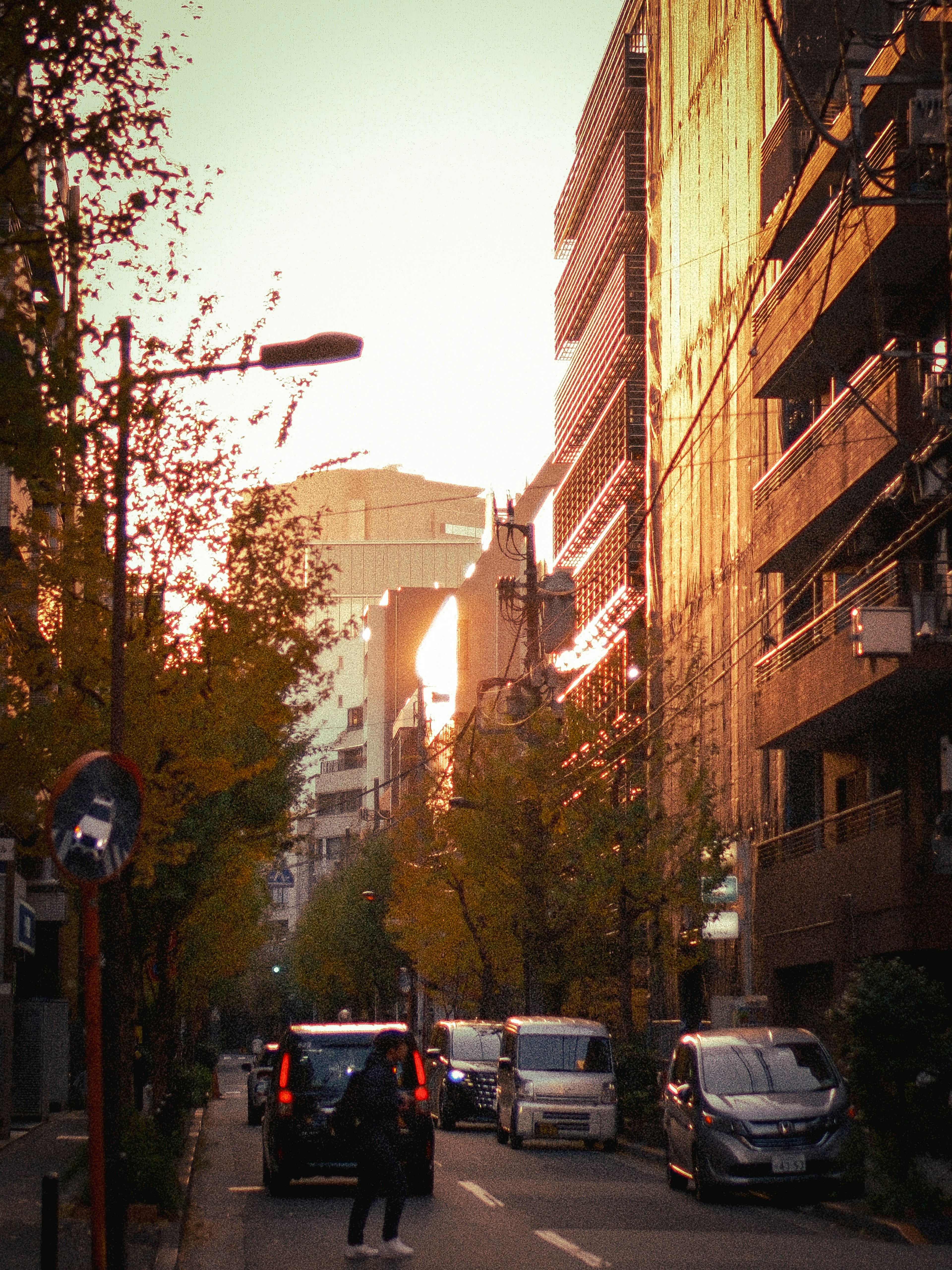 夕日が反射するビルと並木道のある都市風景