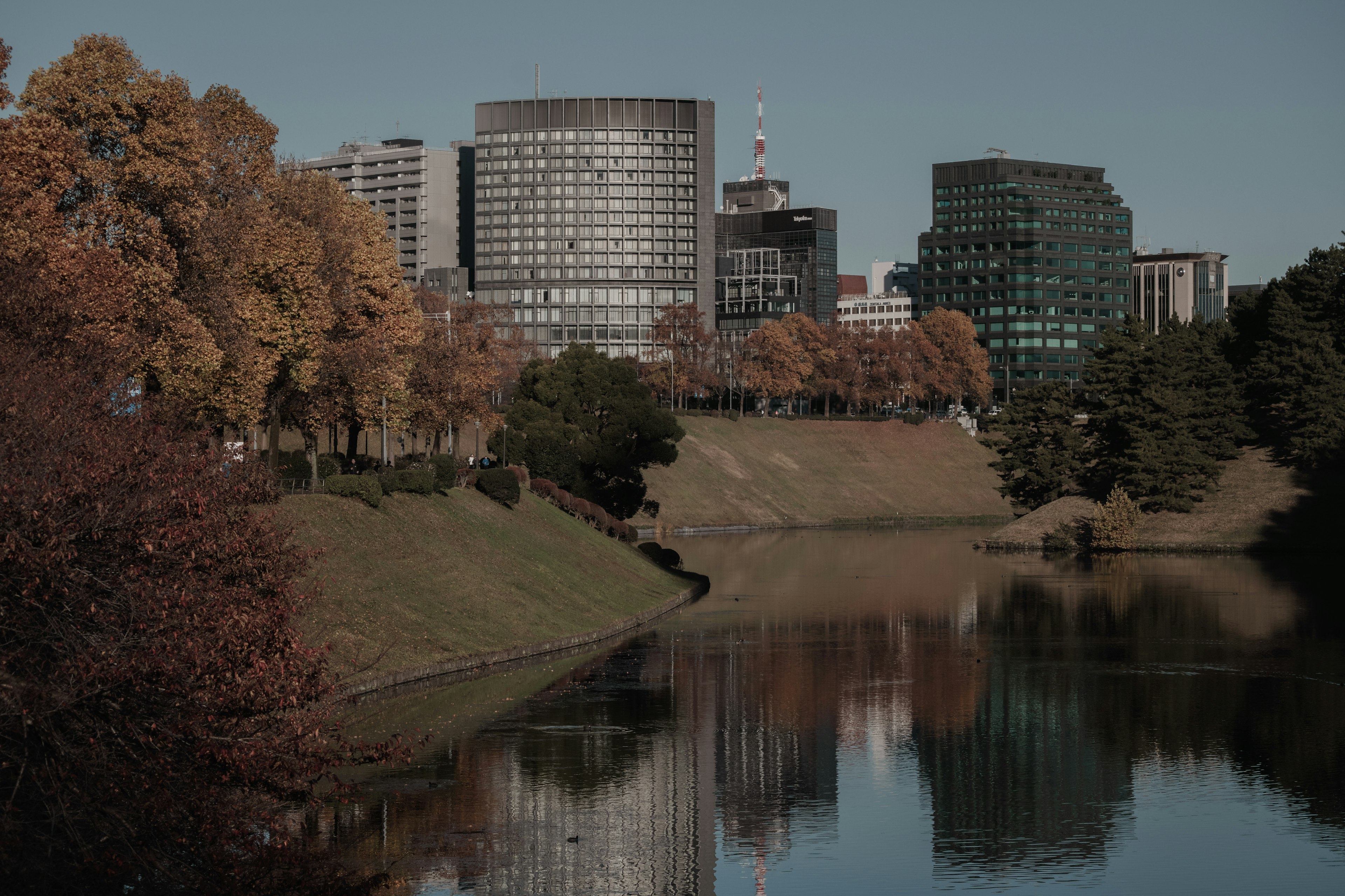 Moderne Gebäude spiegeln sich in einem See, umgeben von Herbstbäumen