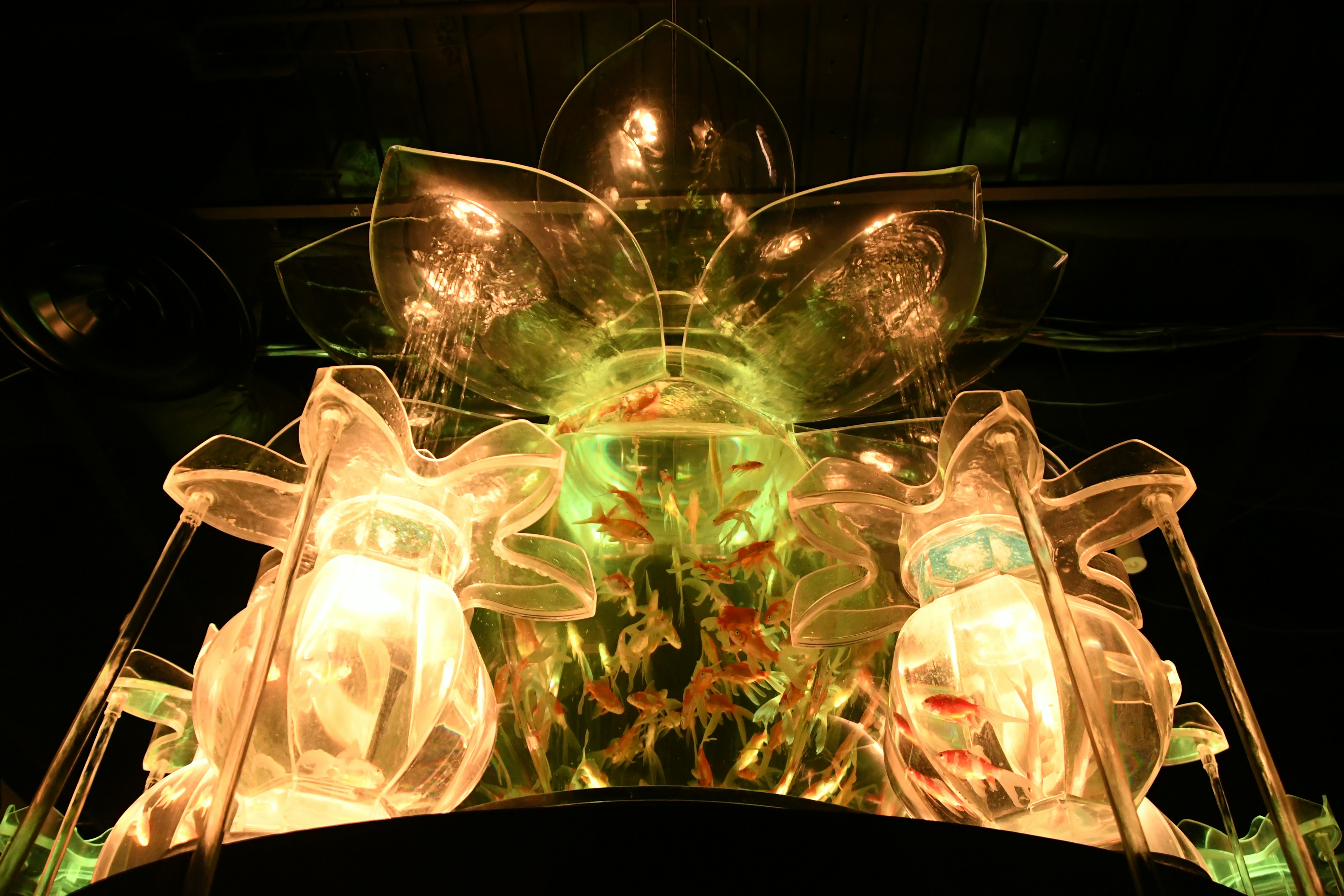 Transparent flower-shaped object with goldfish in water