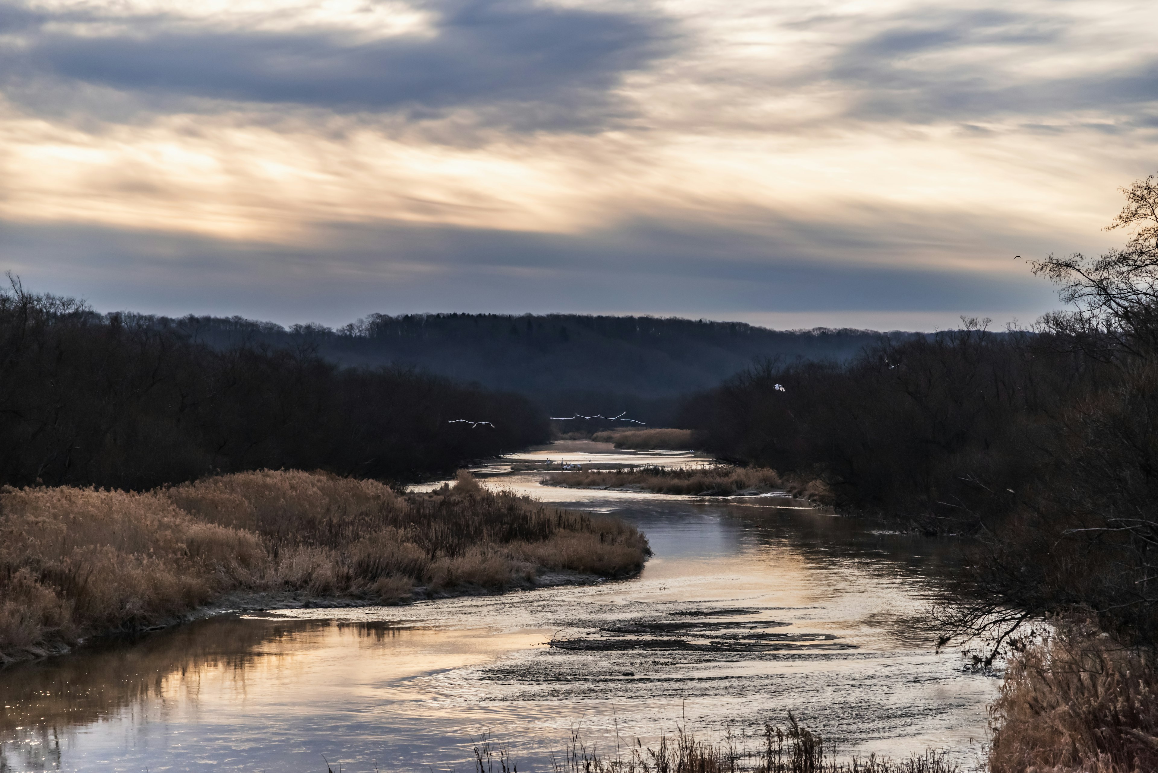 Paisaje de río sereno reflejando los tonos del atardecer