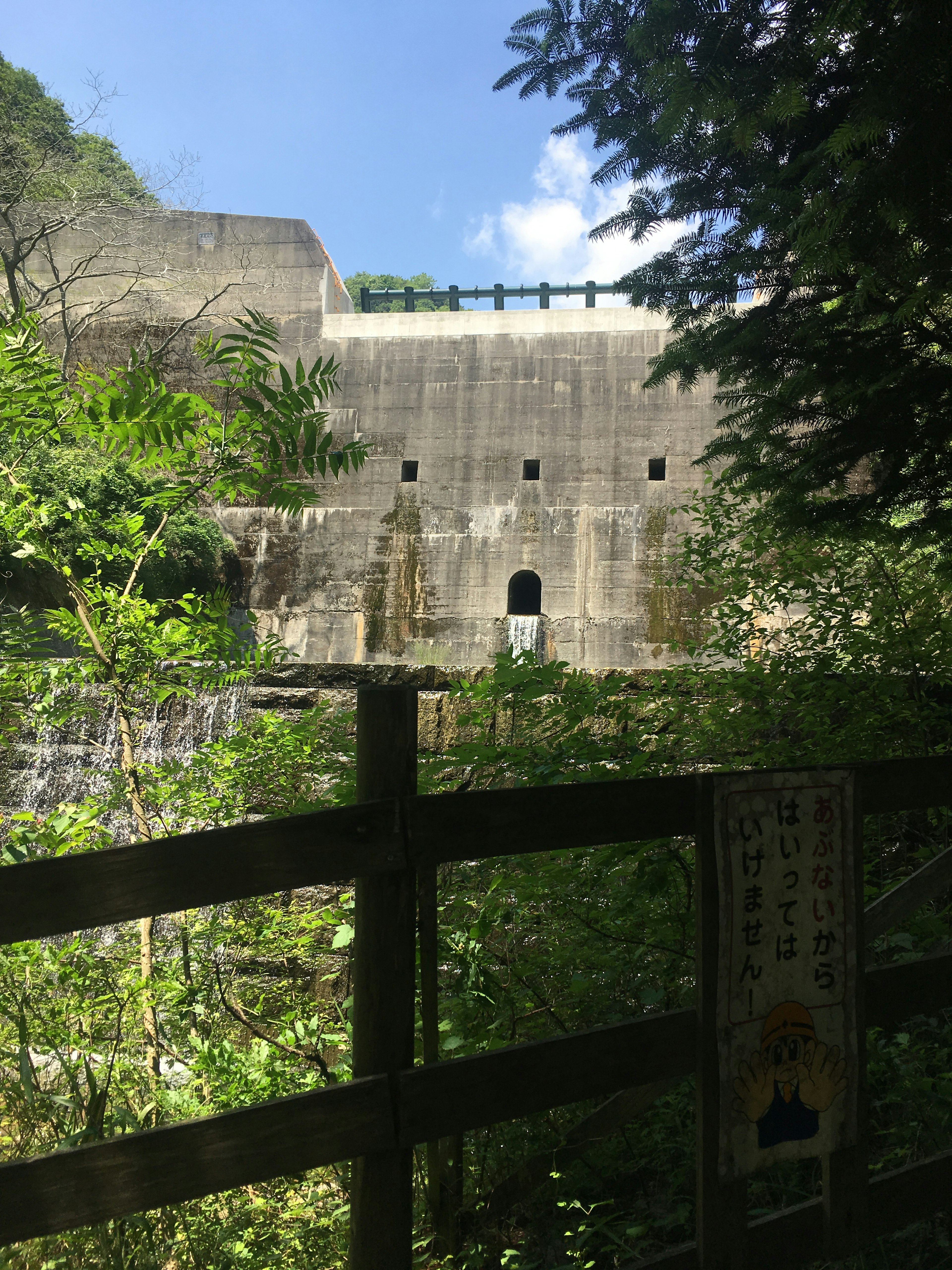 緑に囲まれたコンクリートのダムの構造物と青空