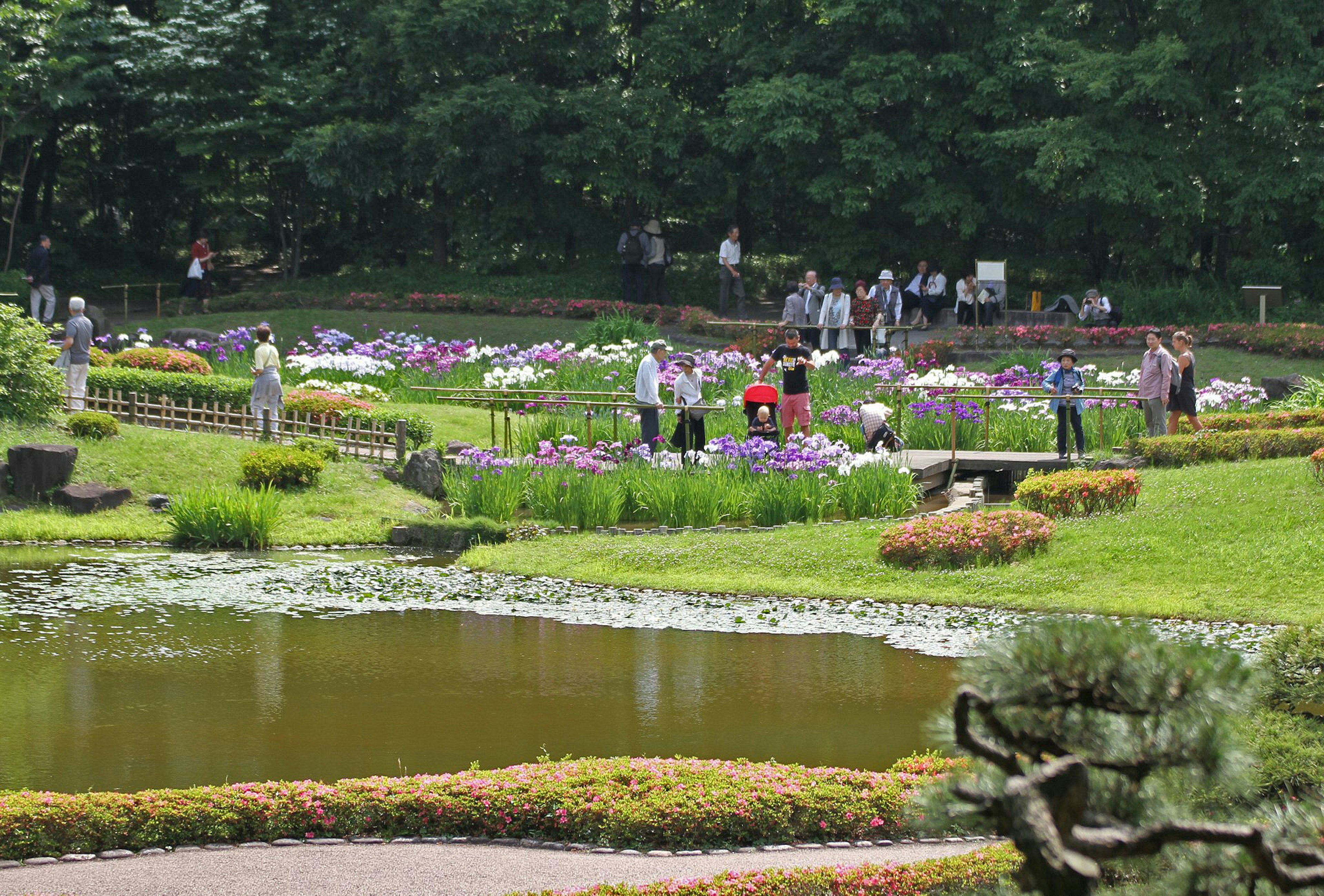 Scène de parc luxuriant avec des fleurs en fleurs et des visiteurs