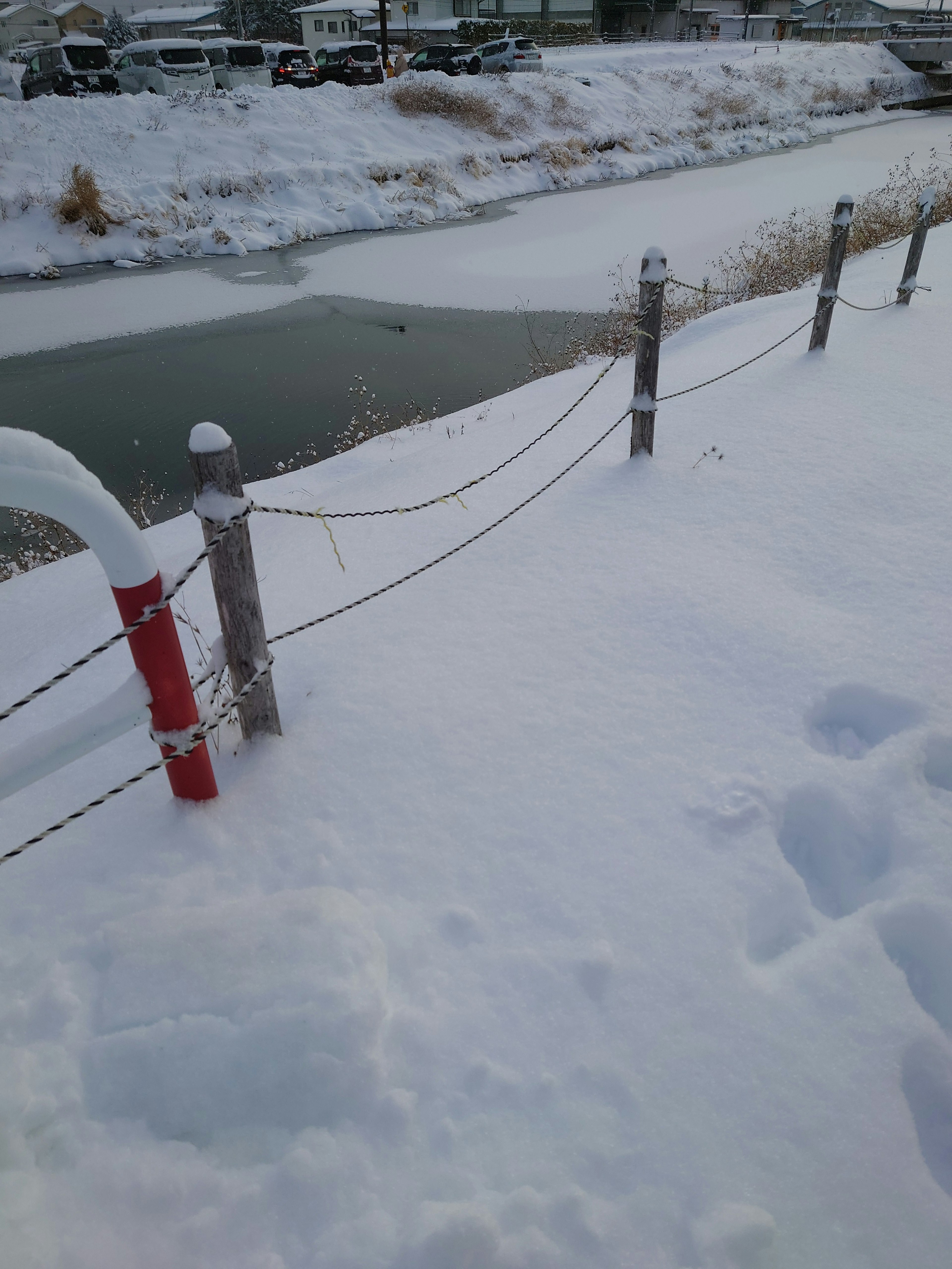 Snow-covered bank and frozen water surface