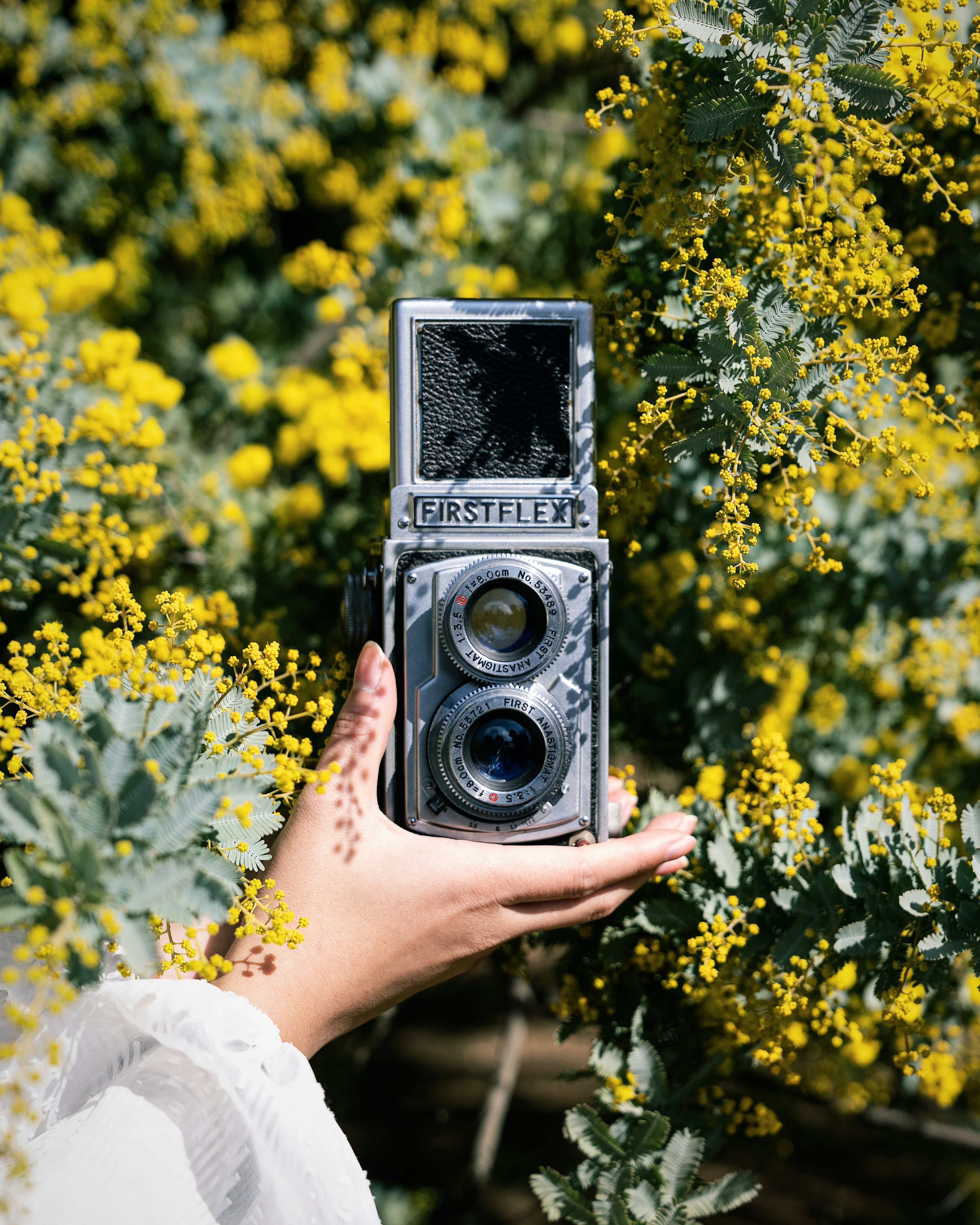 Un appareil photo rétro tenu à la main avec un fond de fleurs jaunes