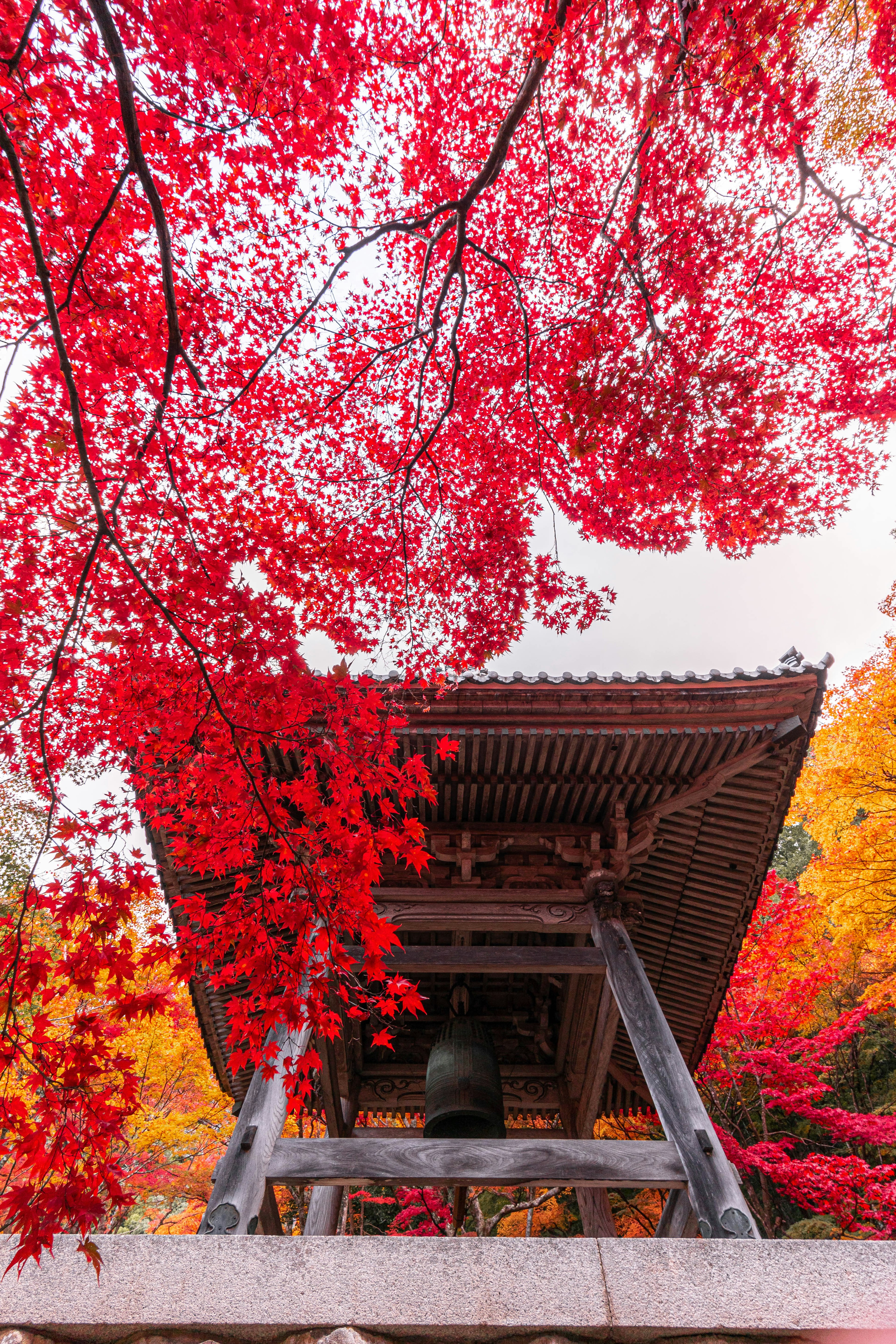 秋の紅葉に囲まれた鐘楼の下からの視点