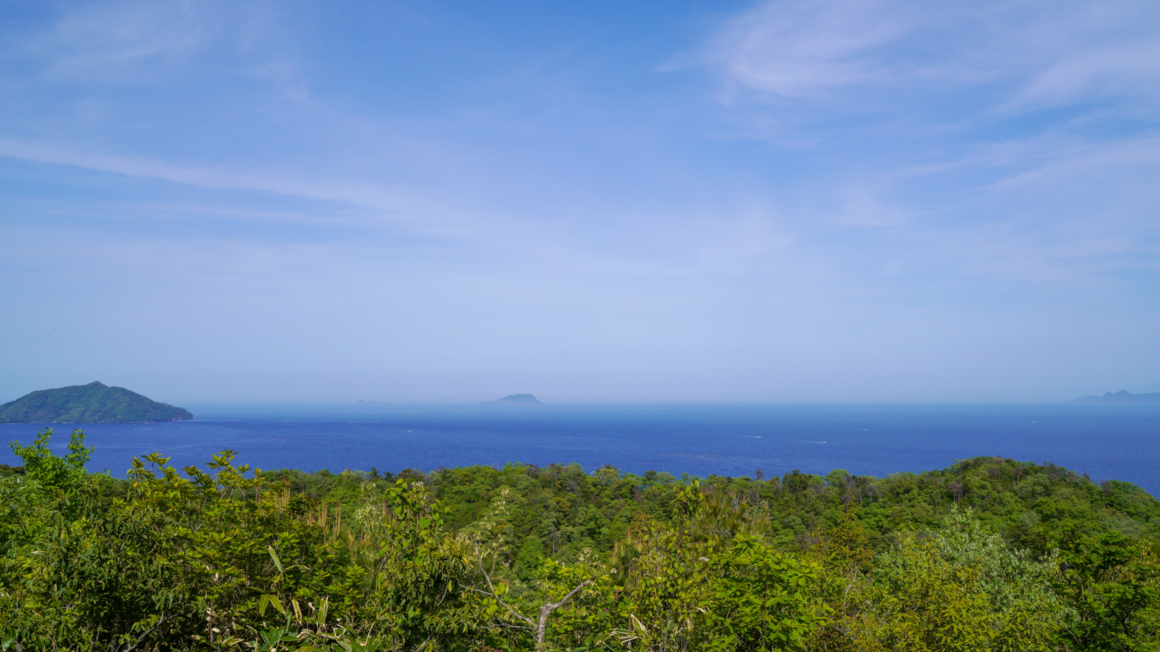 Paisaje verde con océano azul y cielo