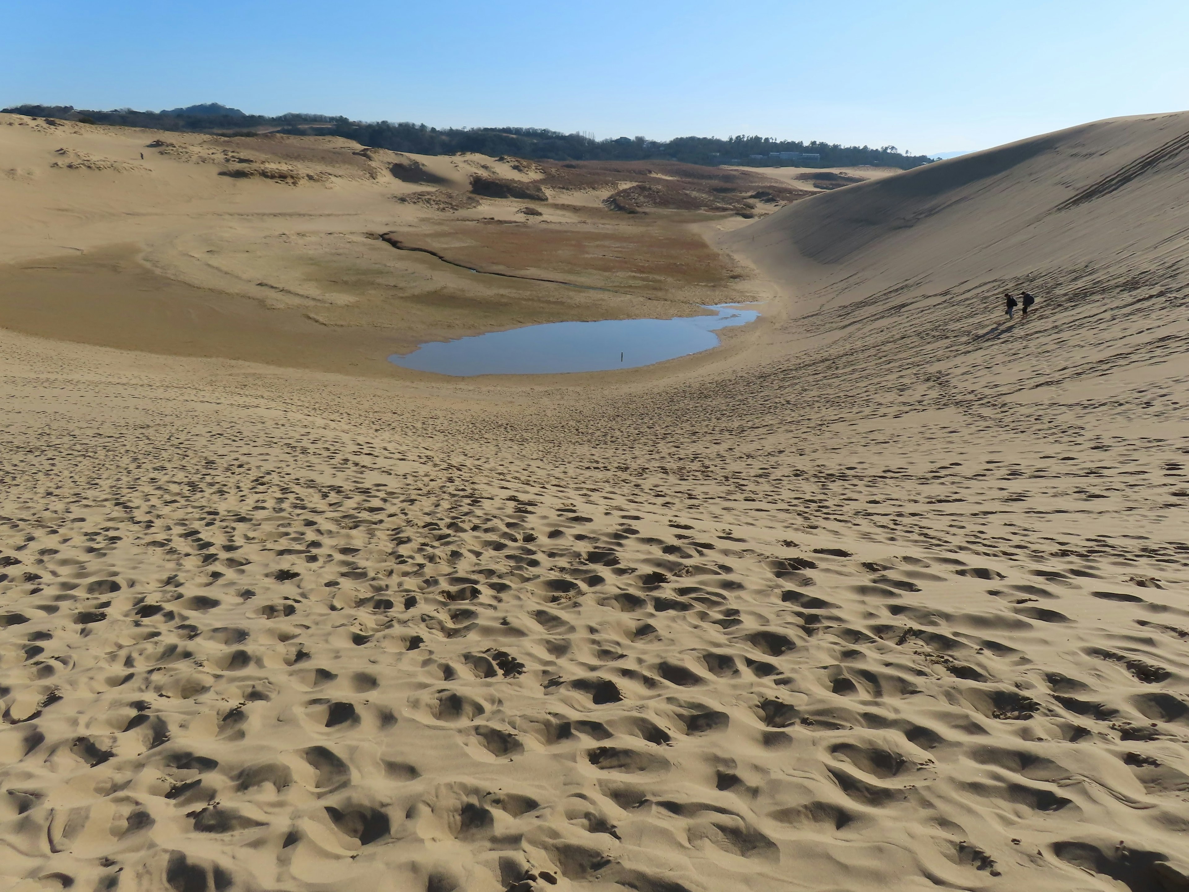 Paesaggio con dune di sabbia e una piccola pozza d'acqua