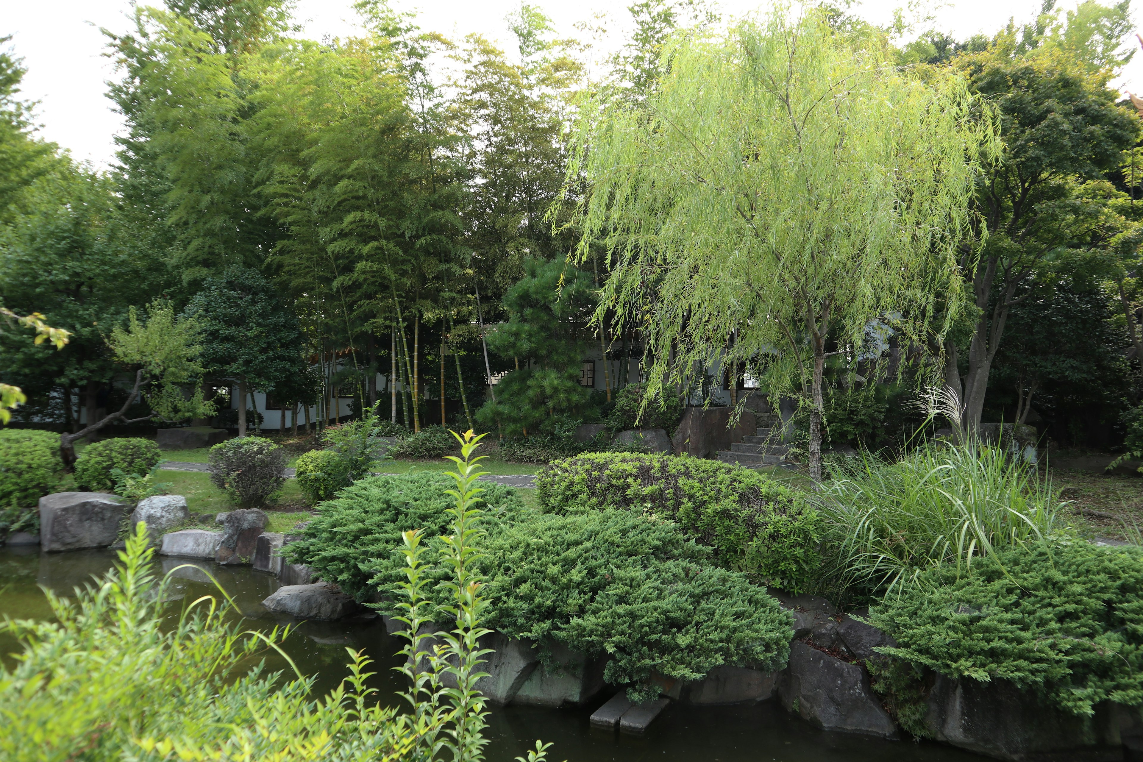 Pemandangan taman yang rimbun dengan bambu dan pohon willow dekat permukaan air yang tenang