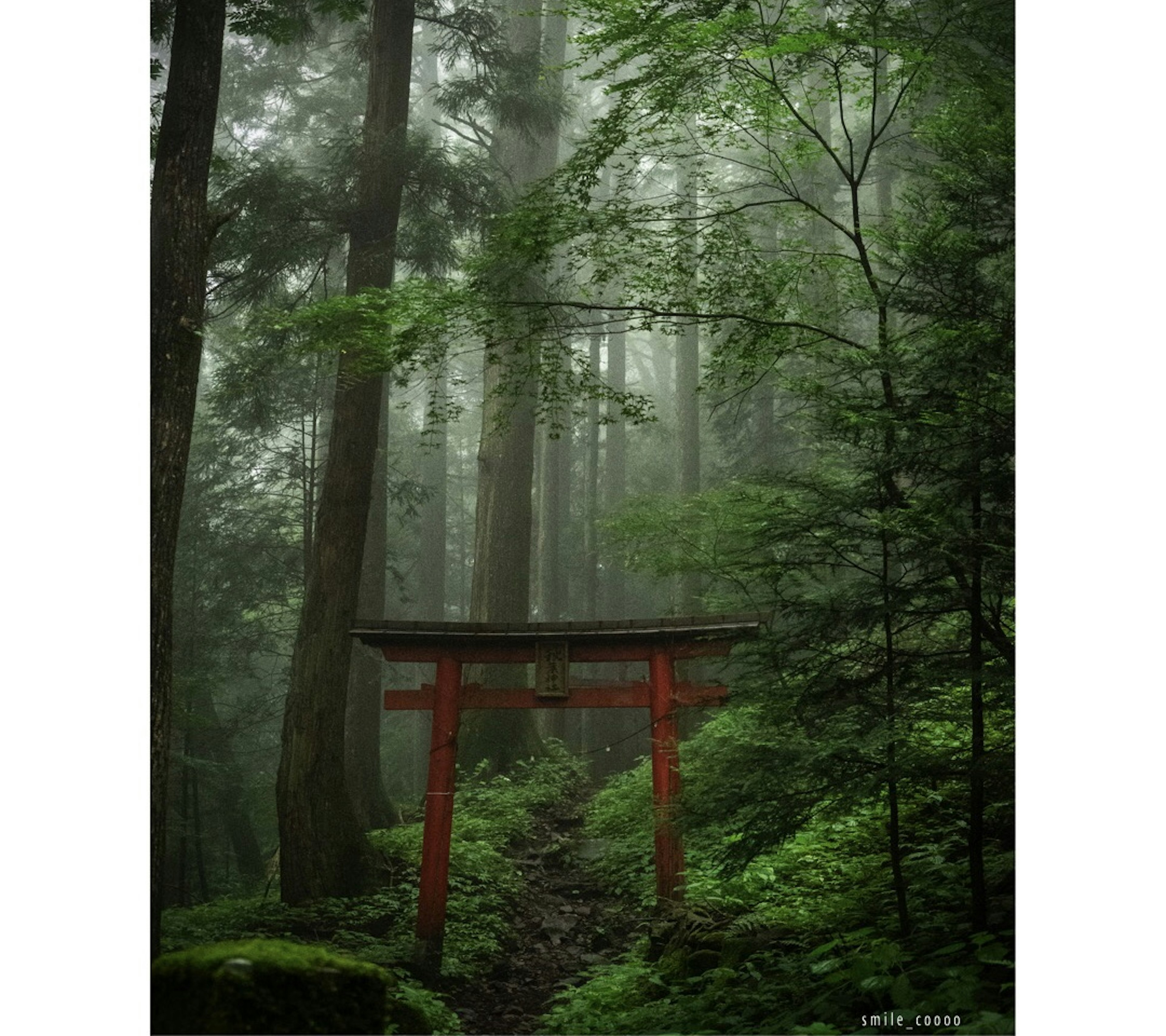 Portale torii rosso in una foresta verde con nebbia