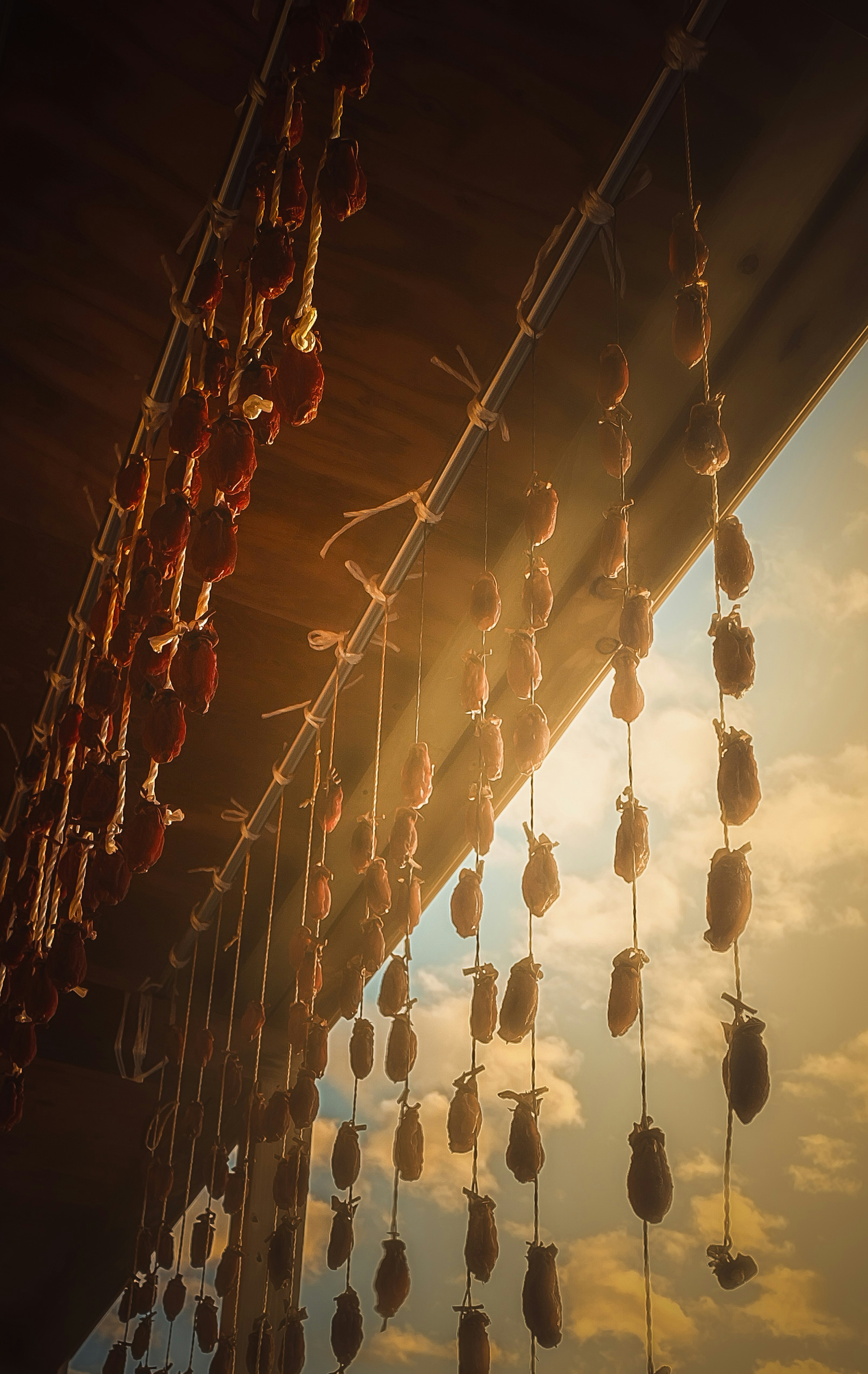 Rows of dried fruits hanging in sunlight