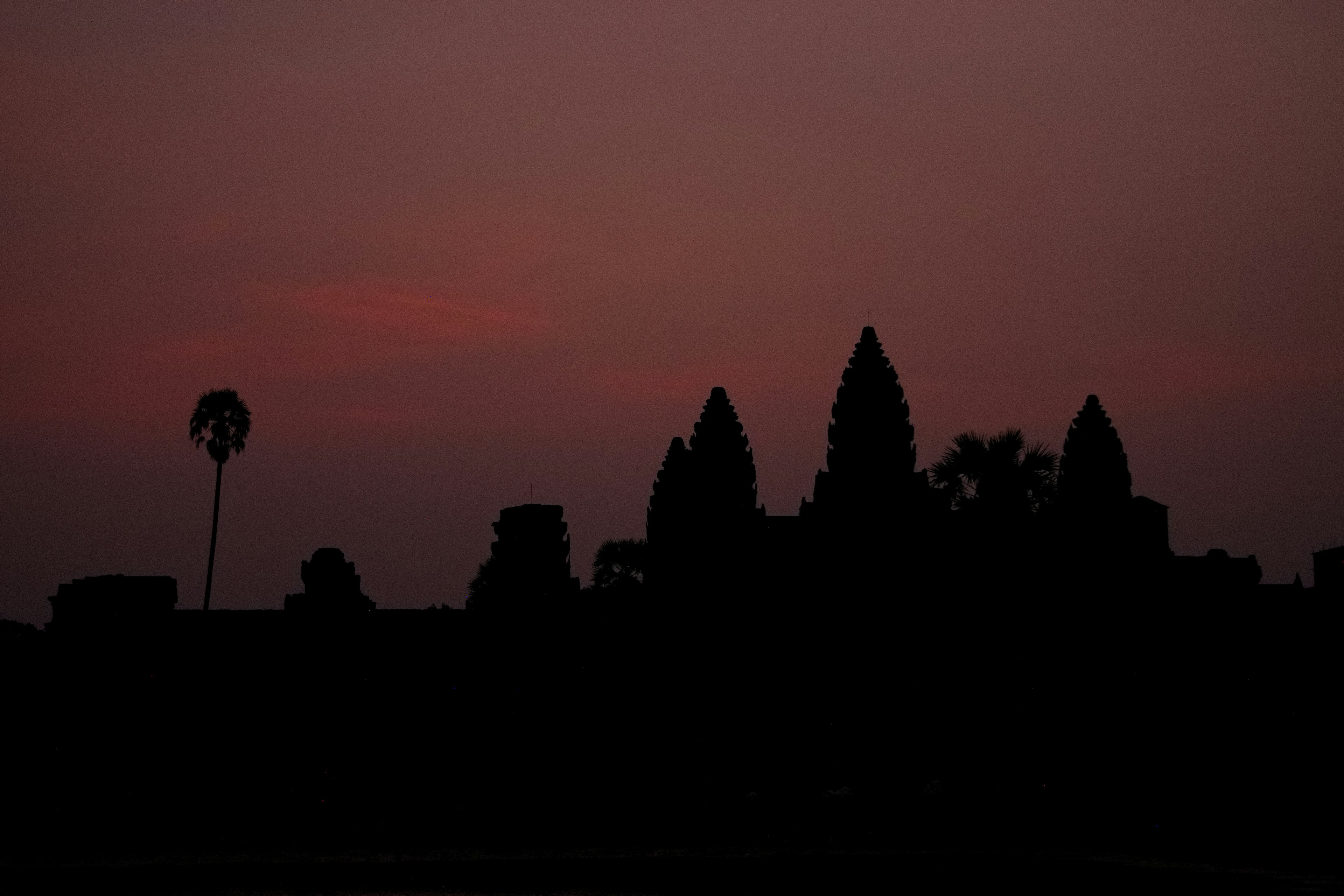 Siluet Angkor Wat saat senja dengan pohon palem