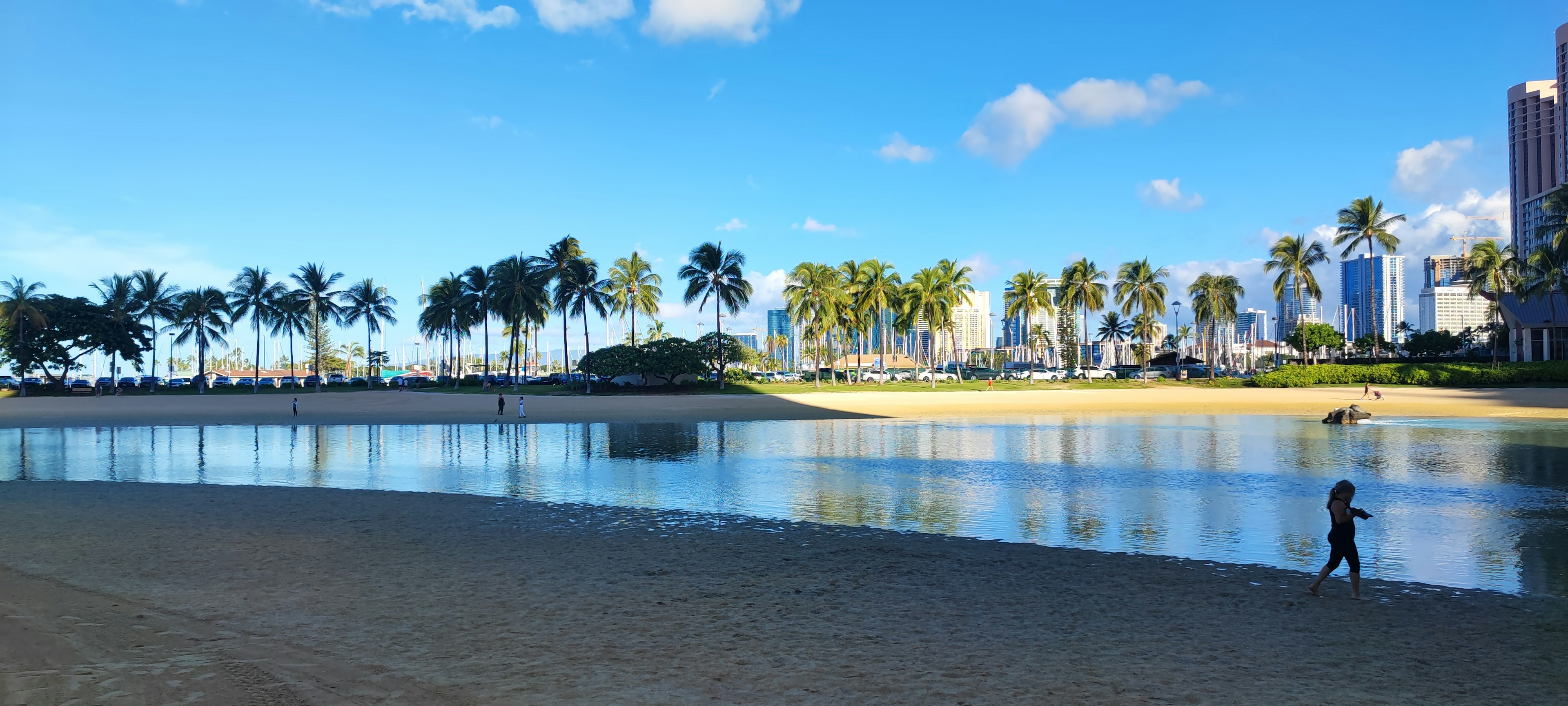 ทิวทัศน์ชายหาดที่มีท้องฟ้าสีฟ้าและต้นปาล์มมีคนเดินอยู่