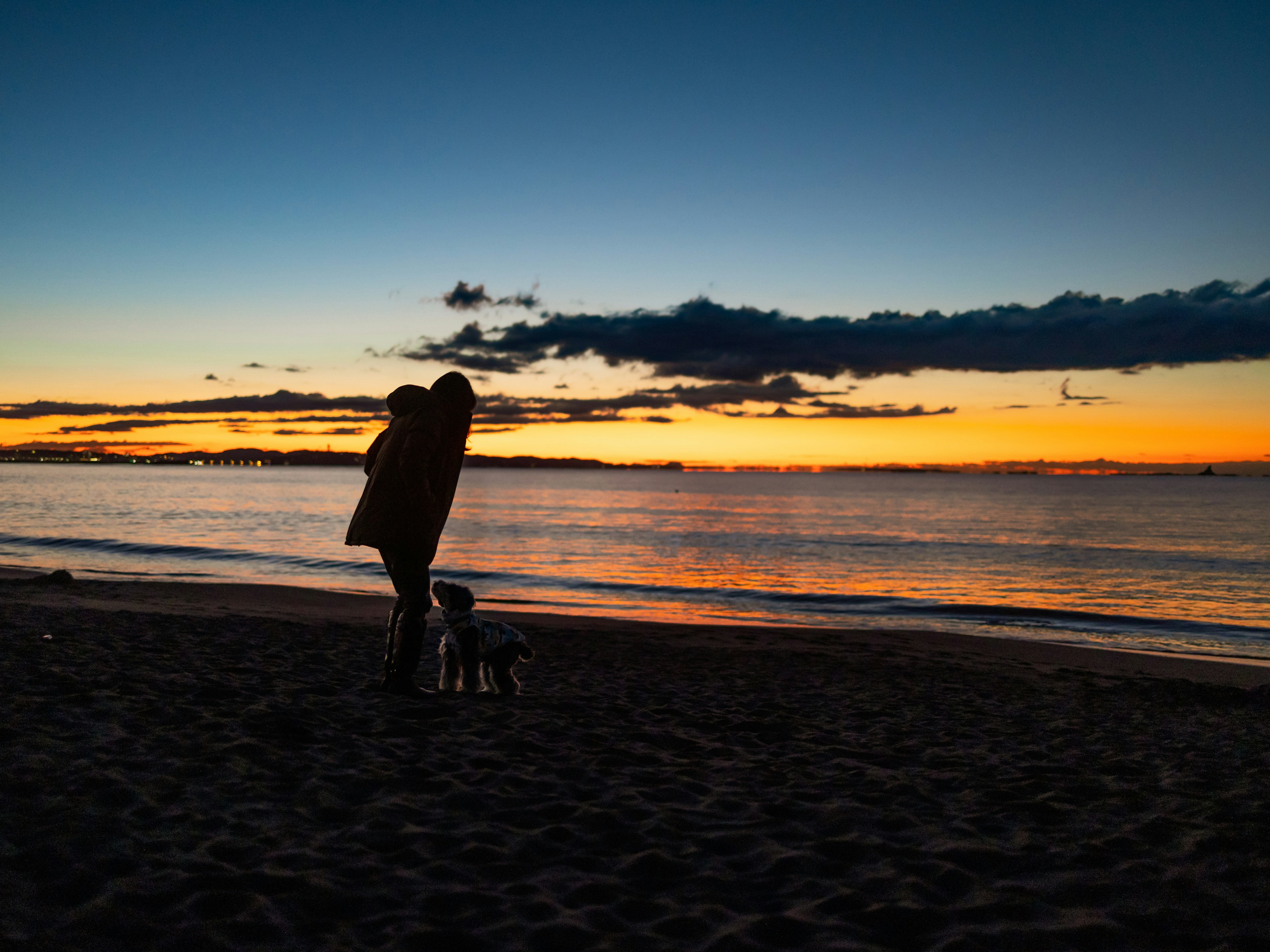 ビーチで夕日を背景にしたカップルと犬のシルエット