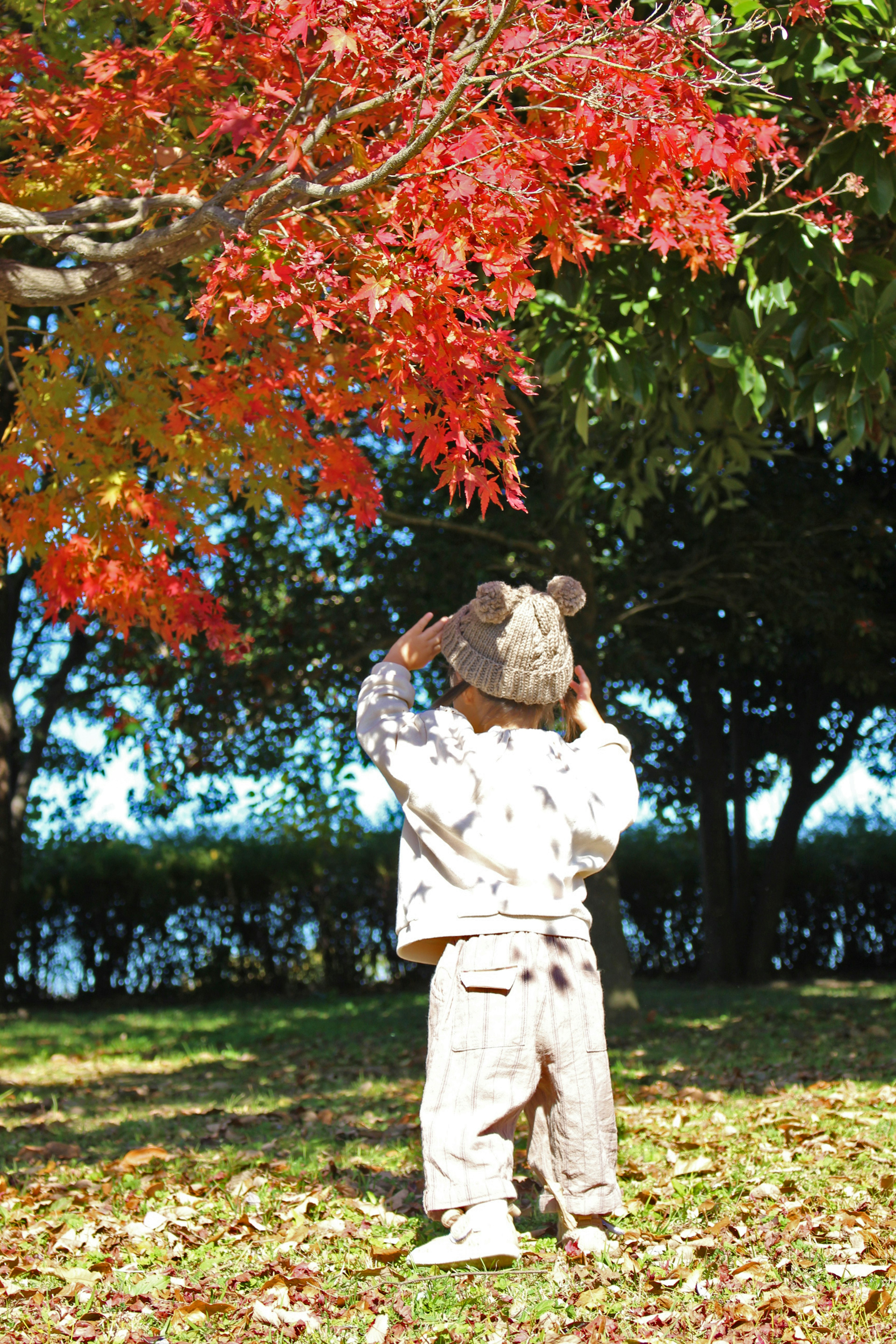 Enfant portant un chapeau d'ours regardant sous un arbre aux feuilles rouges