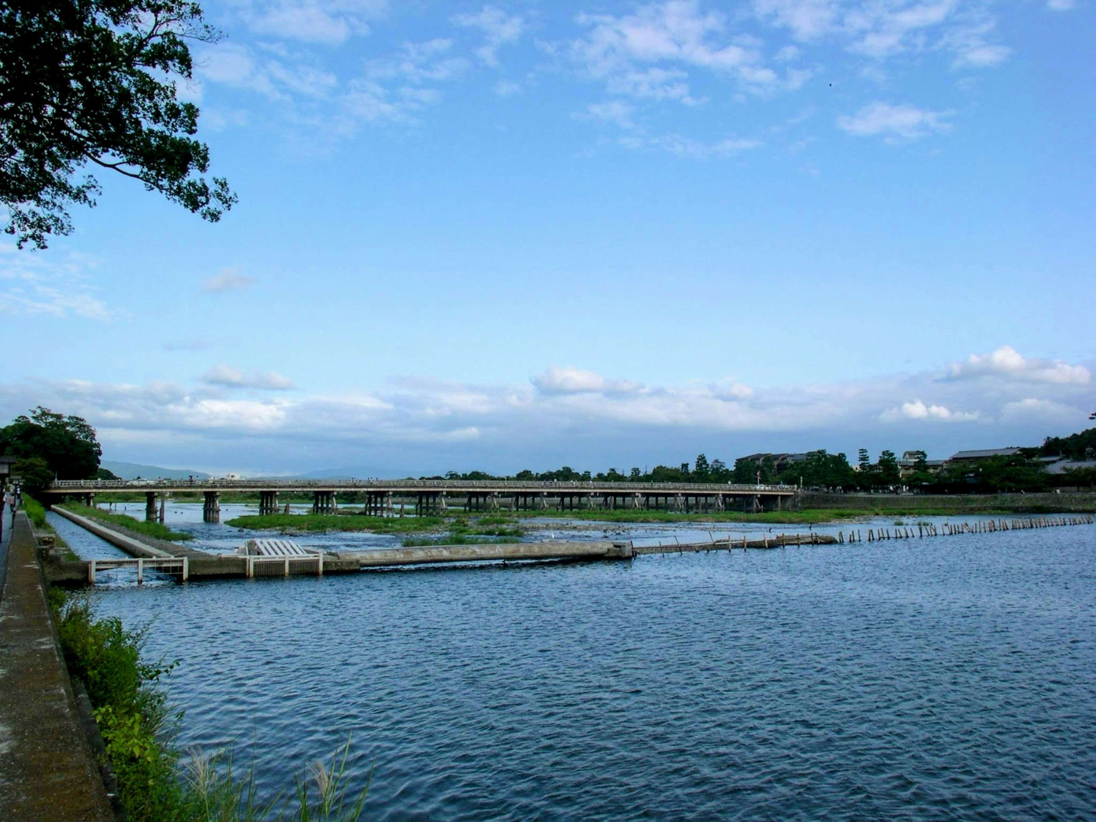 Pemandangan sawah dan jembatan di bawah langit biru