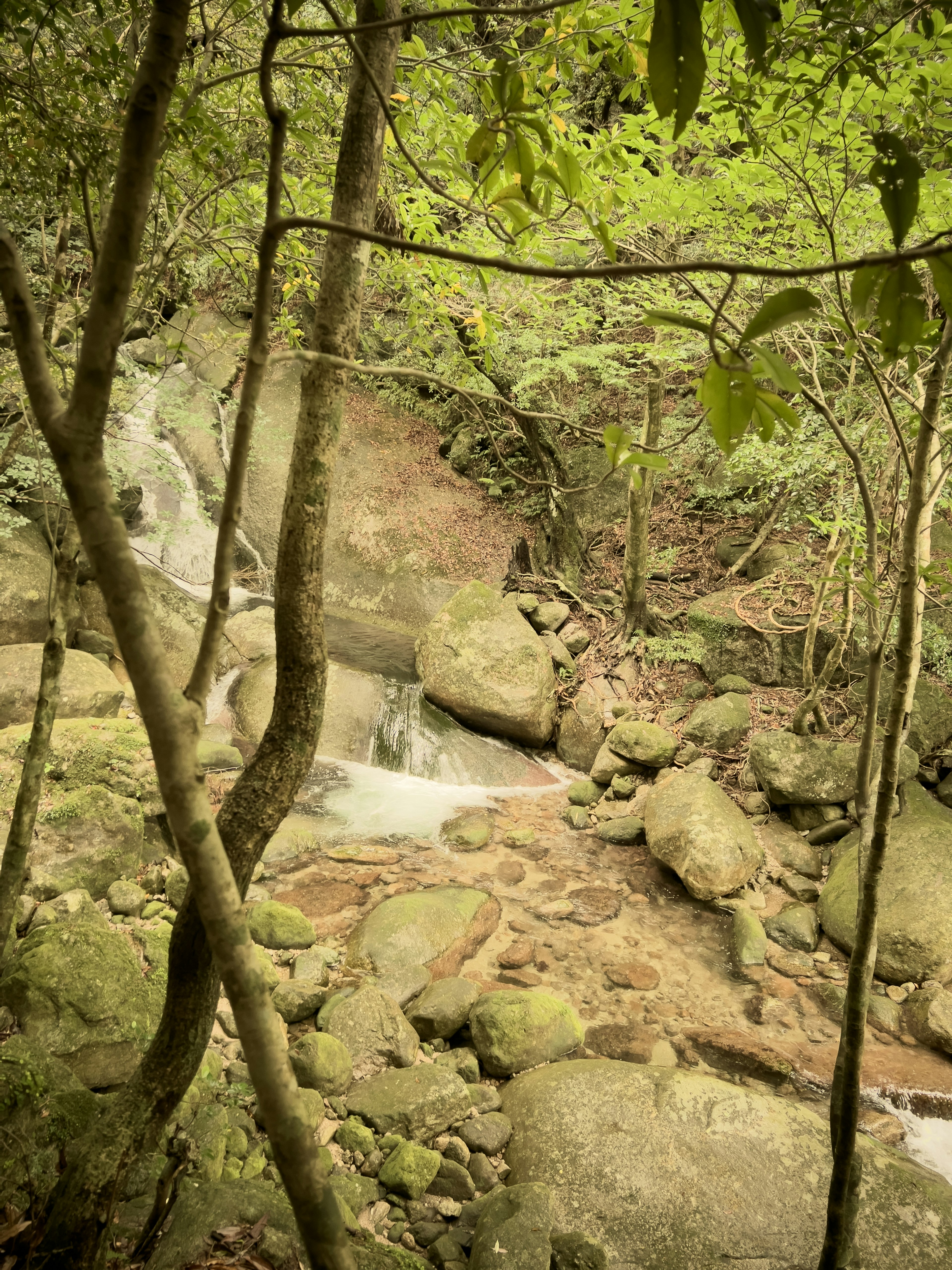 A small waterfall surrounded by green trees and large rocks