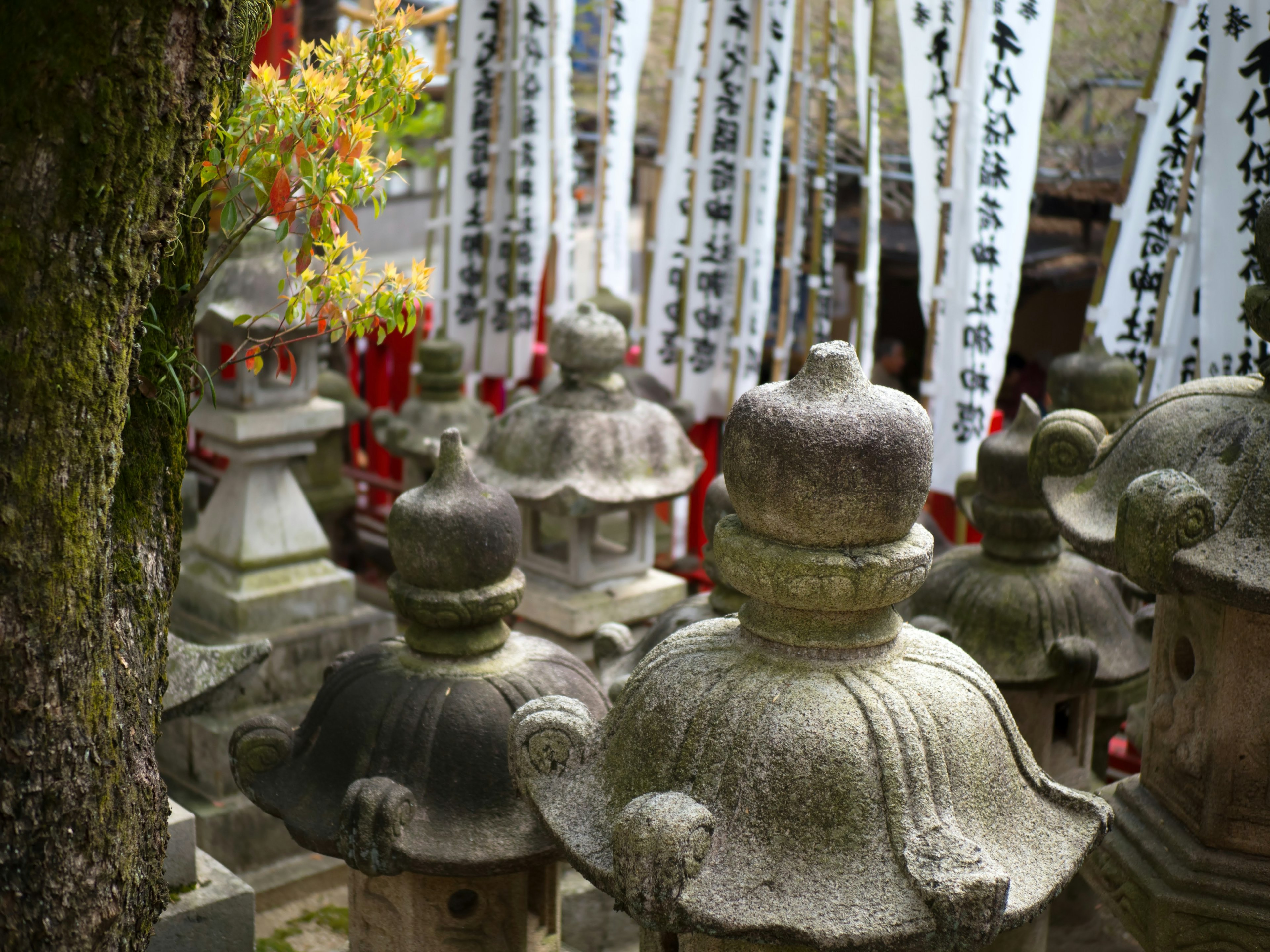 石燈籠が並ぶ神社の風景と白い幟