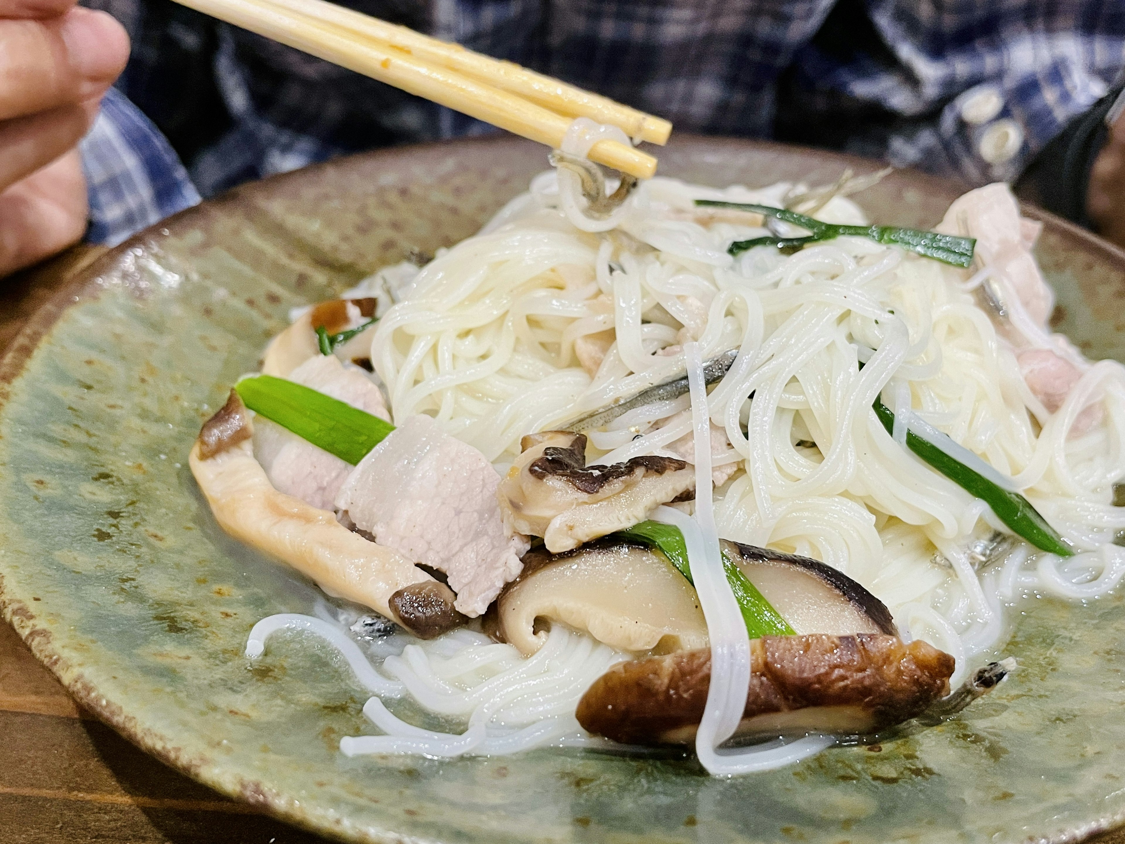 A plate of white rice noodles topped with chicken, garnished with green onions and herbs