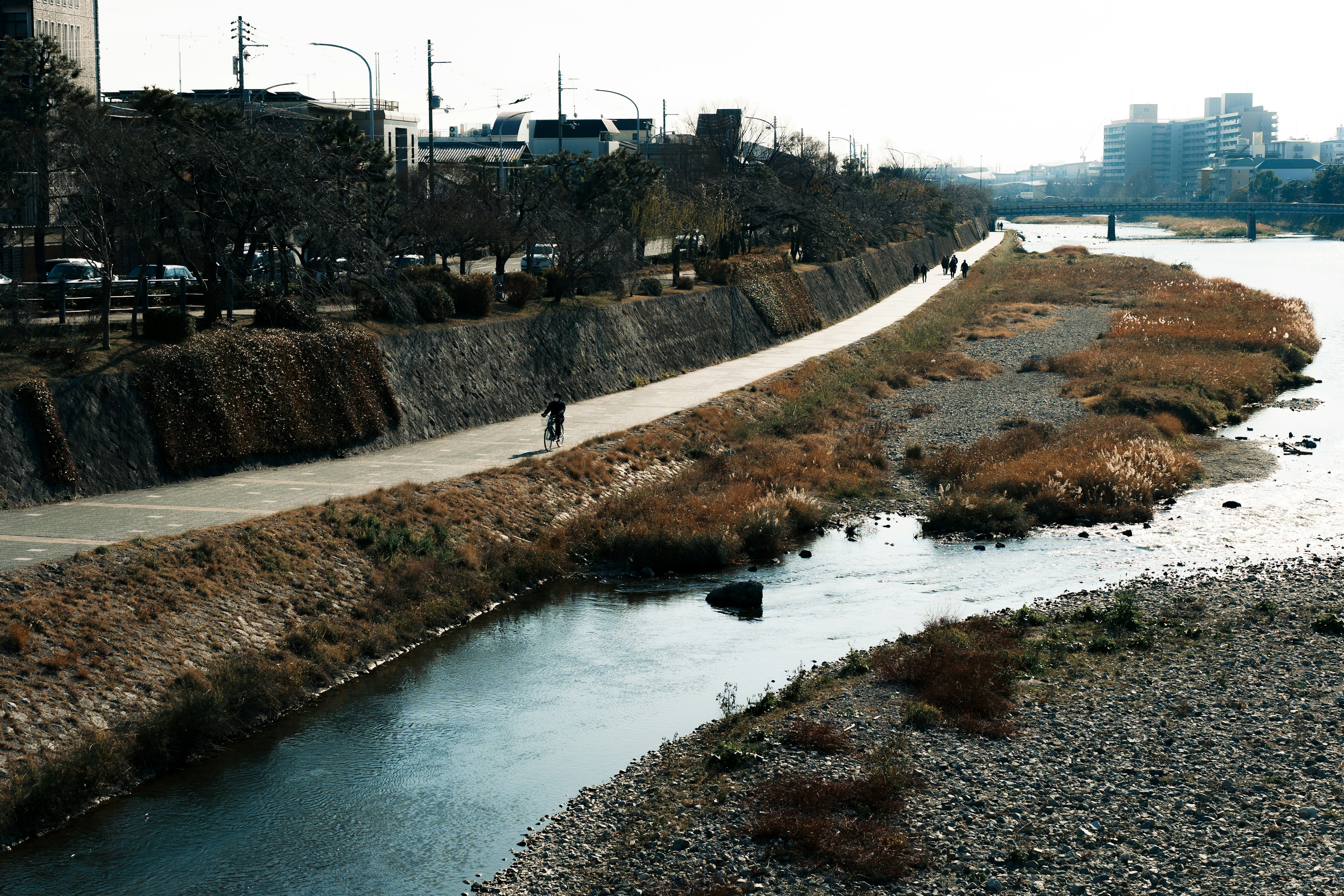 Scène de rivière sereine avec chemin et rives herbeuses