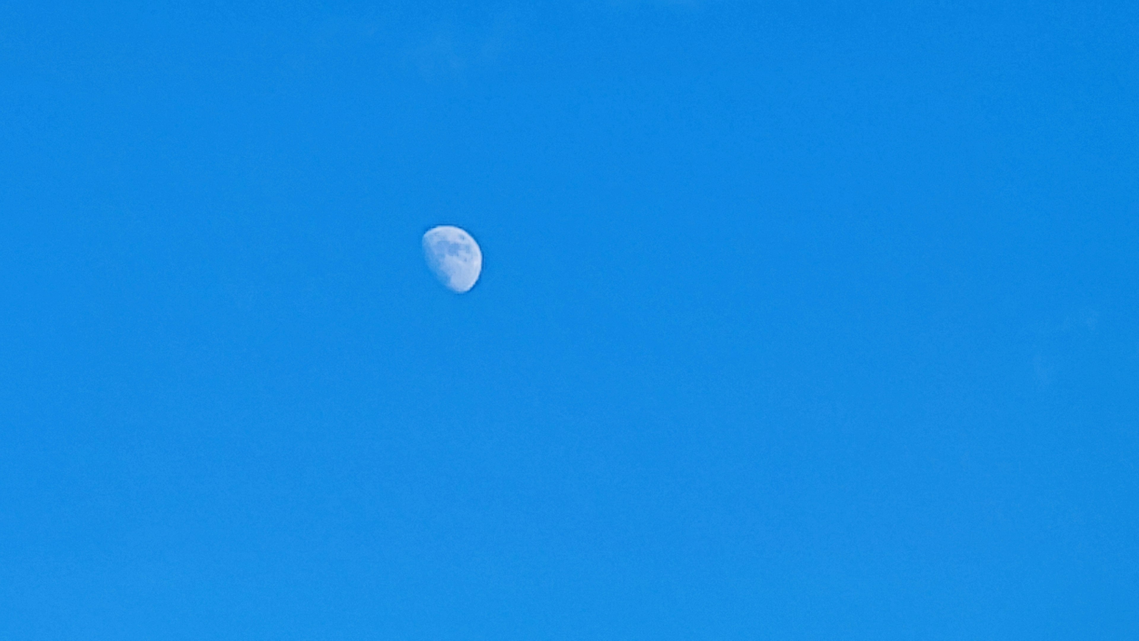 Lune à moitié visible dans un ciel bleu clair