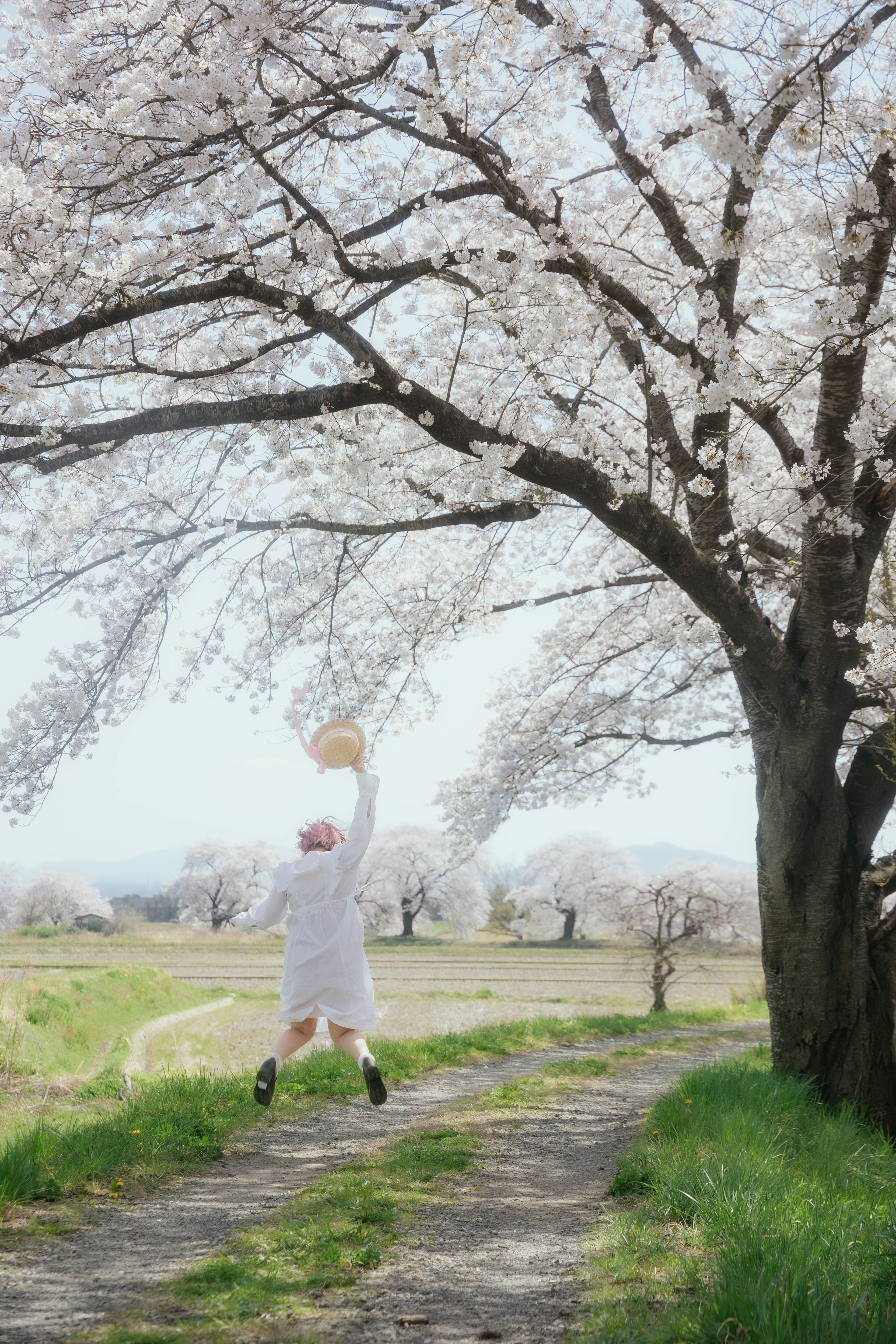 Una persona saltando alegremente bajo un árbol de cerezo en flor