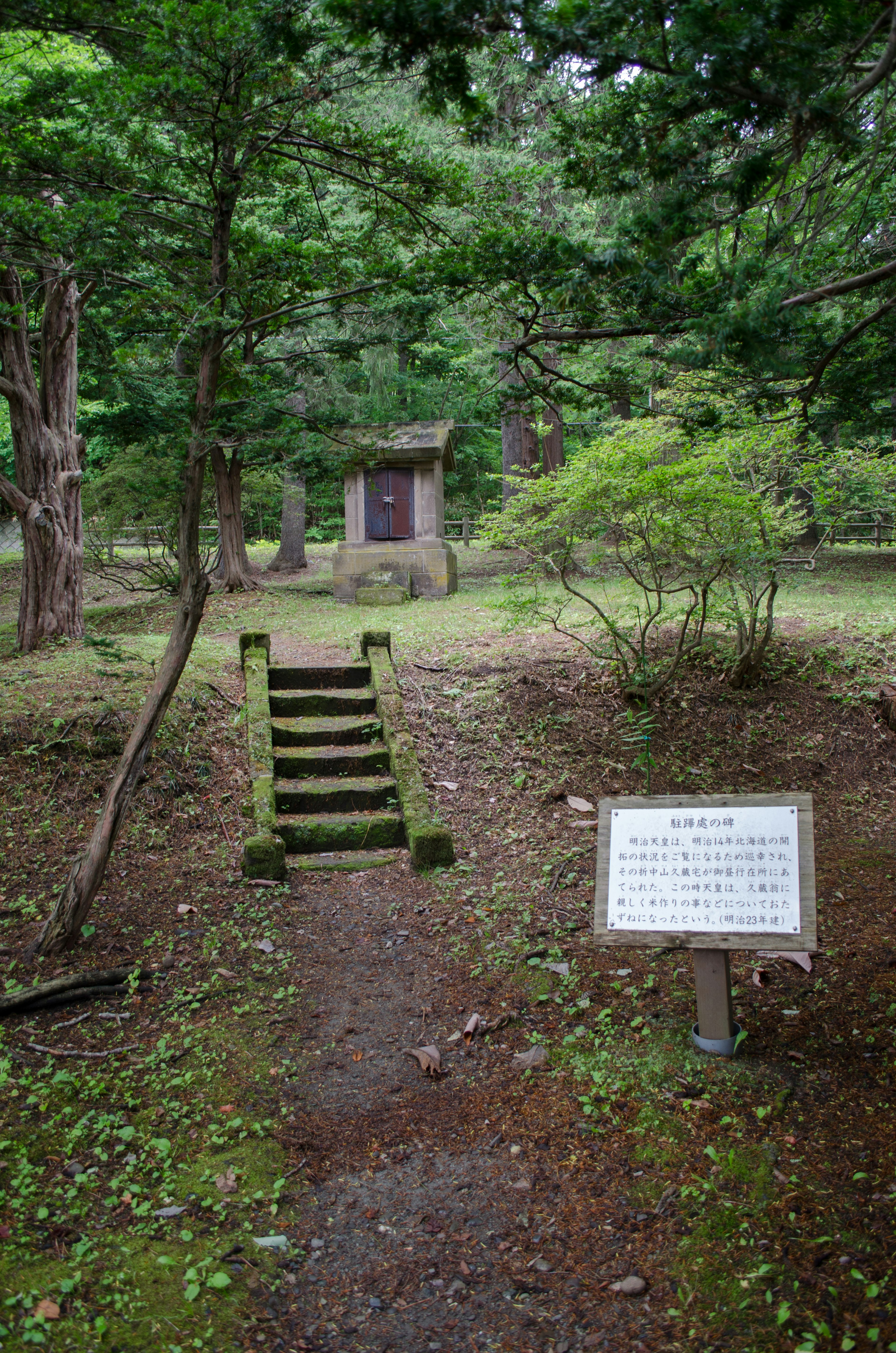 Scenic view of stone steps leading to a small building in a lush green forest