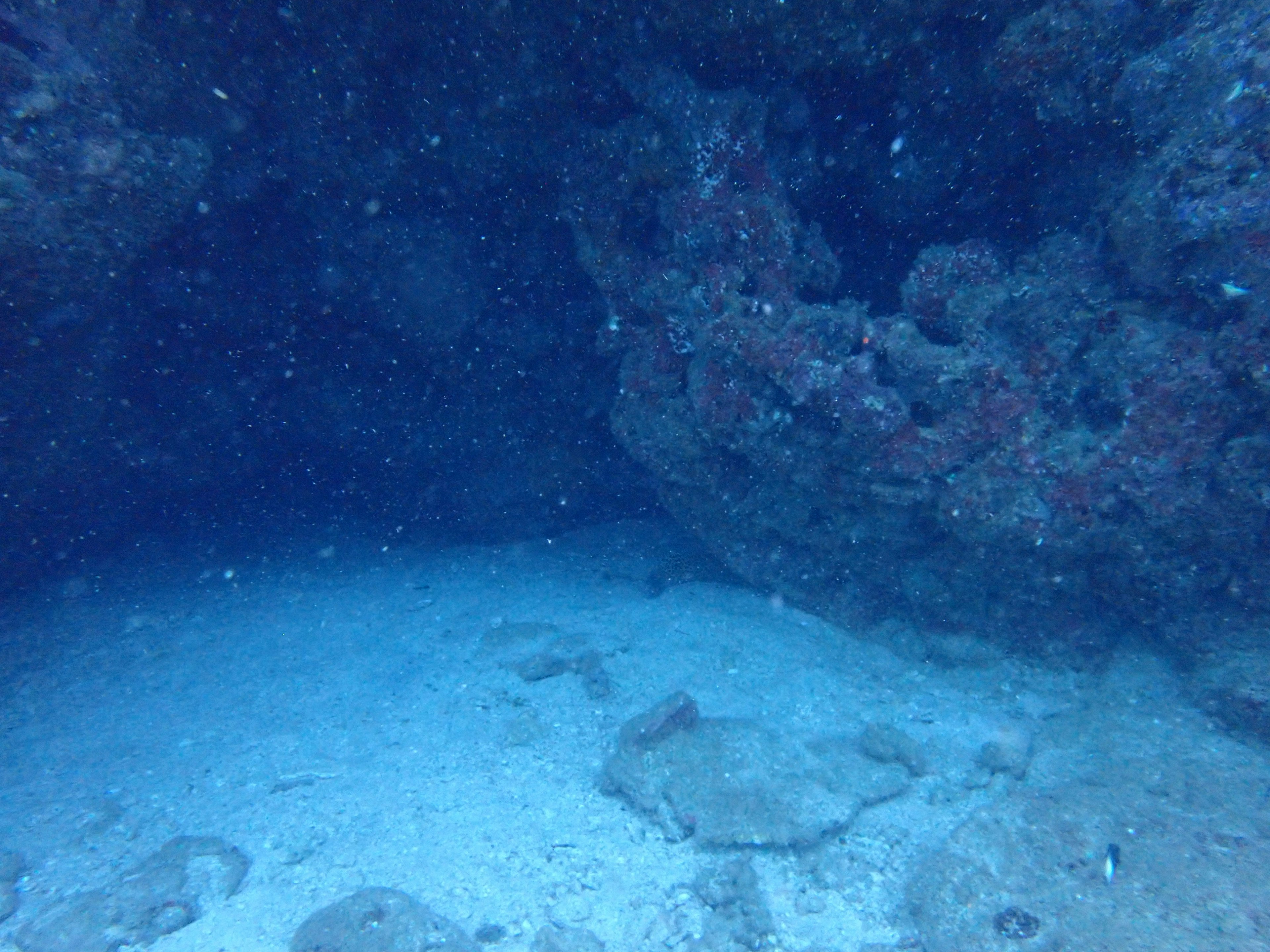 Underwater cave entrance with sandy floor and rocky surroundings