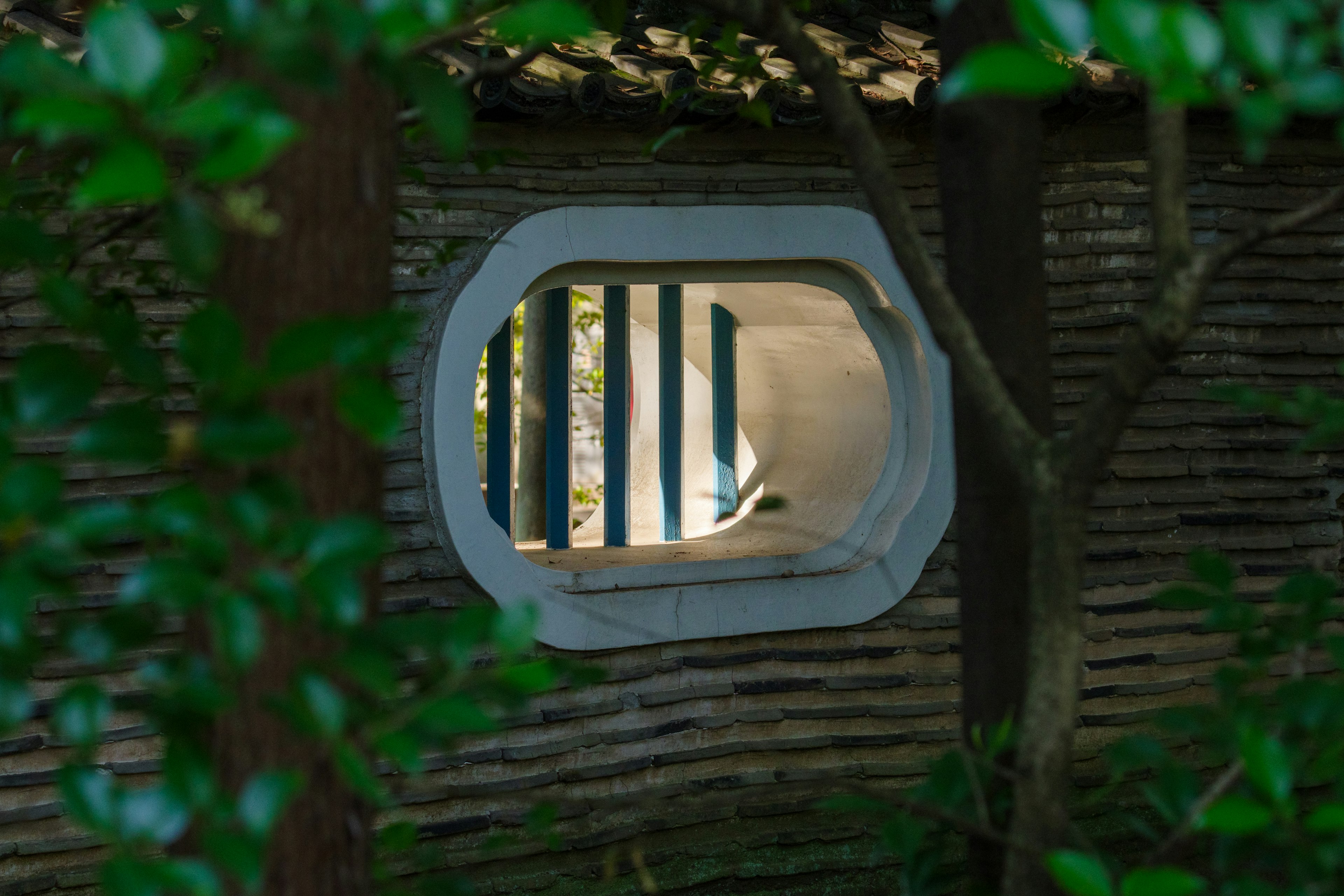 Fenêtre de forme unique encadrée par la verdure révélant un mur en bois