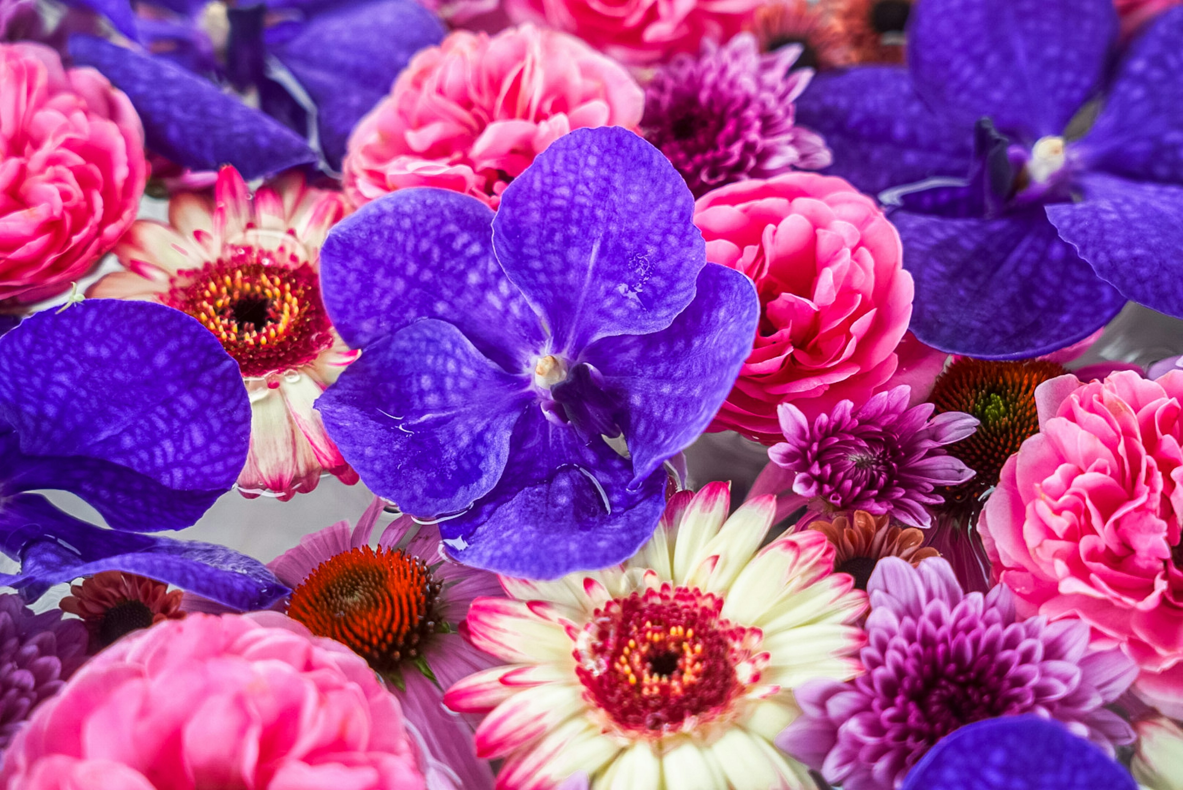 Un hermoso arreglo de flores coloridas con orquídeas moradas y rosas rosas