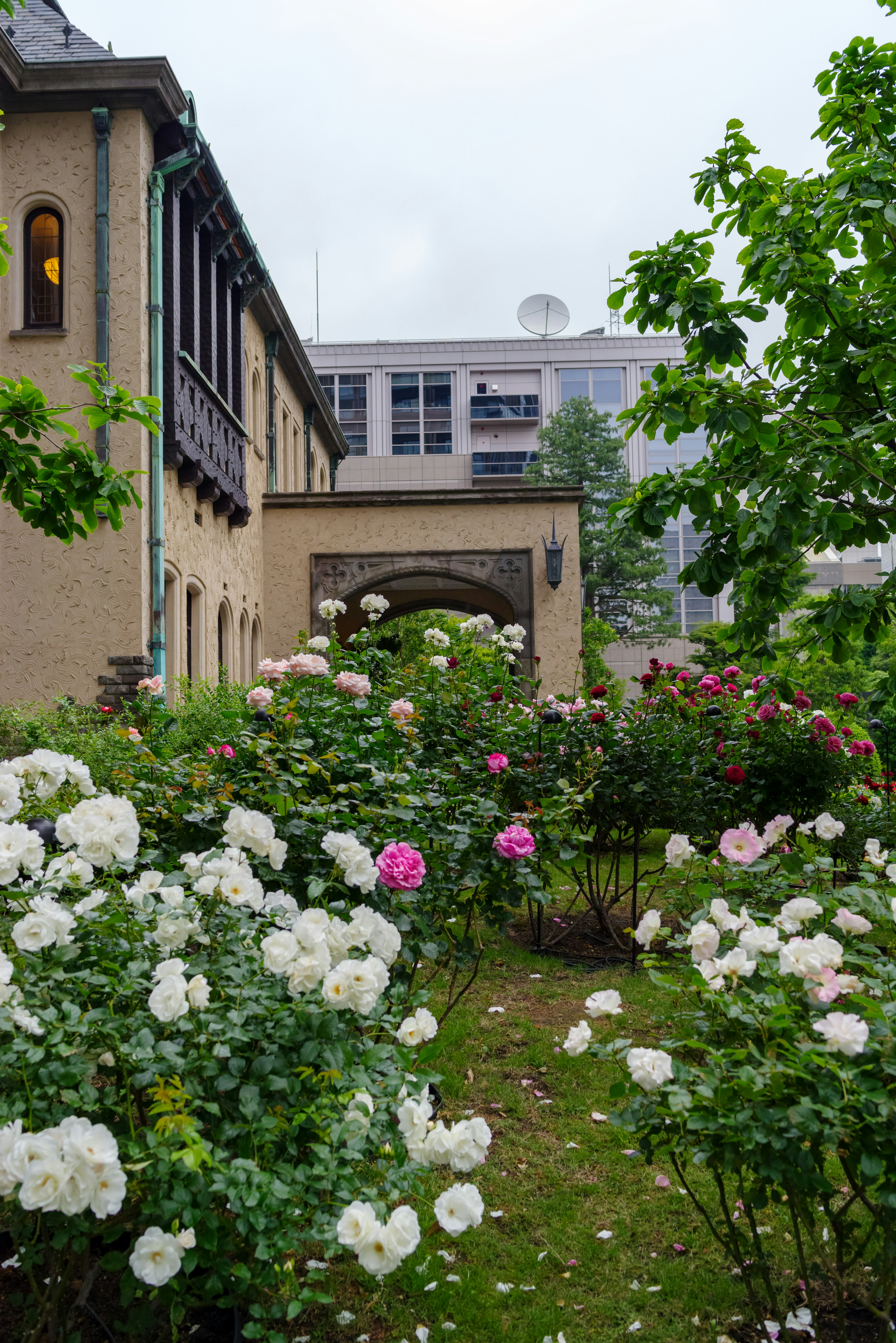 Hermoso jardín con rosas en flor y el exterior del edificio