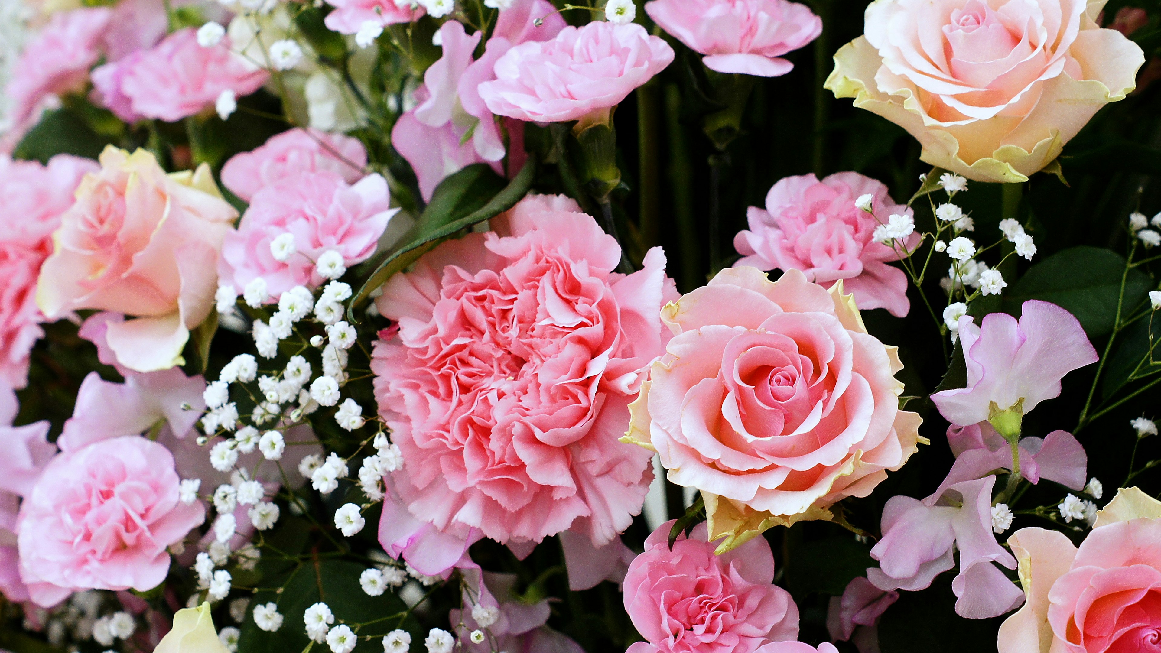 Un mazzo di fiori con rose e garofani rosa accentuato da piccoli fiori bianchi