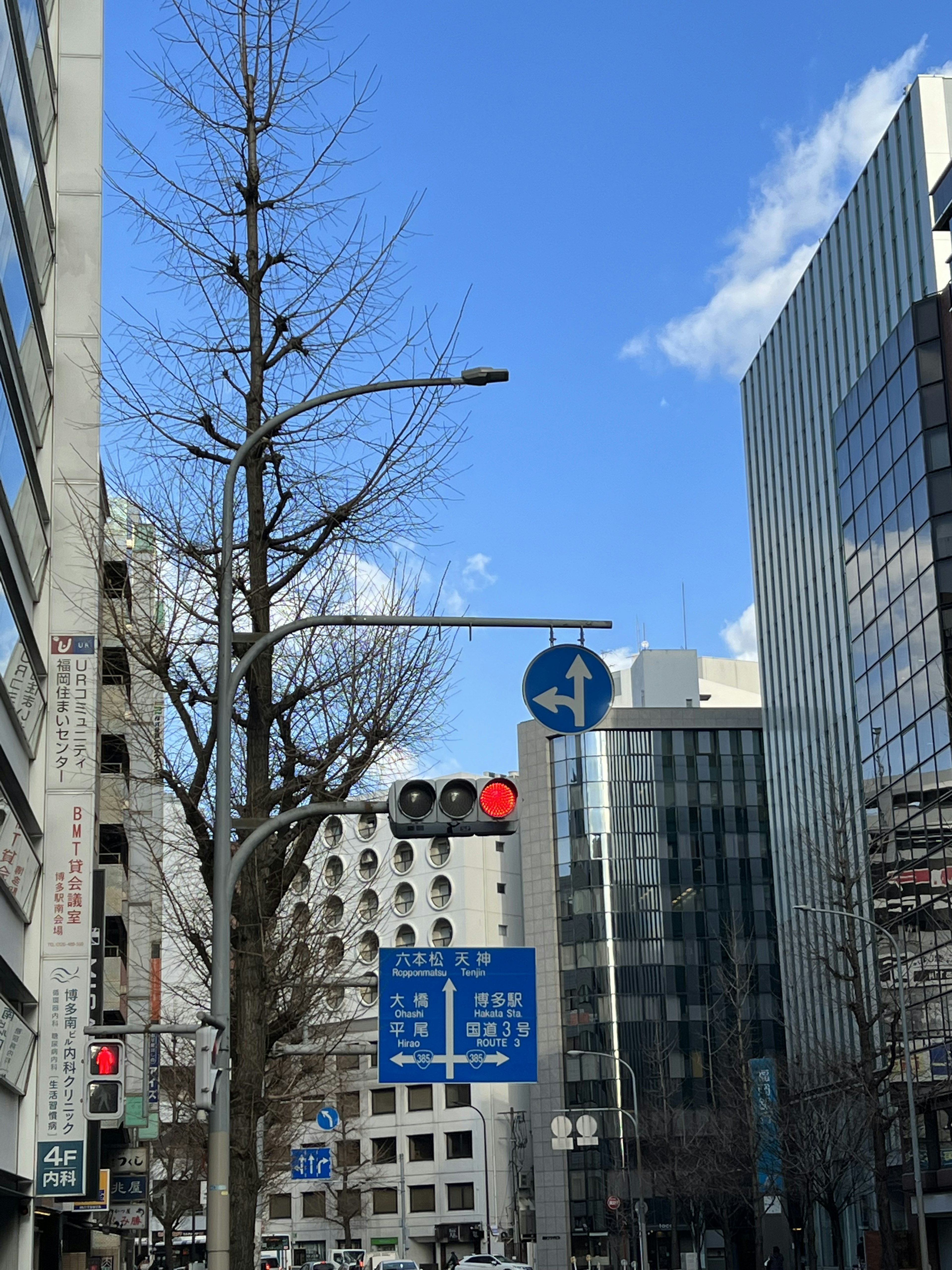 Urban landscape under a blue sky with trees and buildings street signs prominently displayed