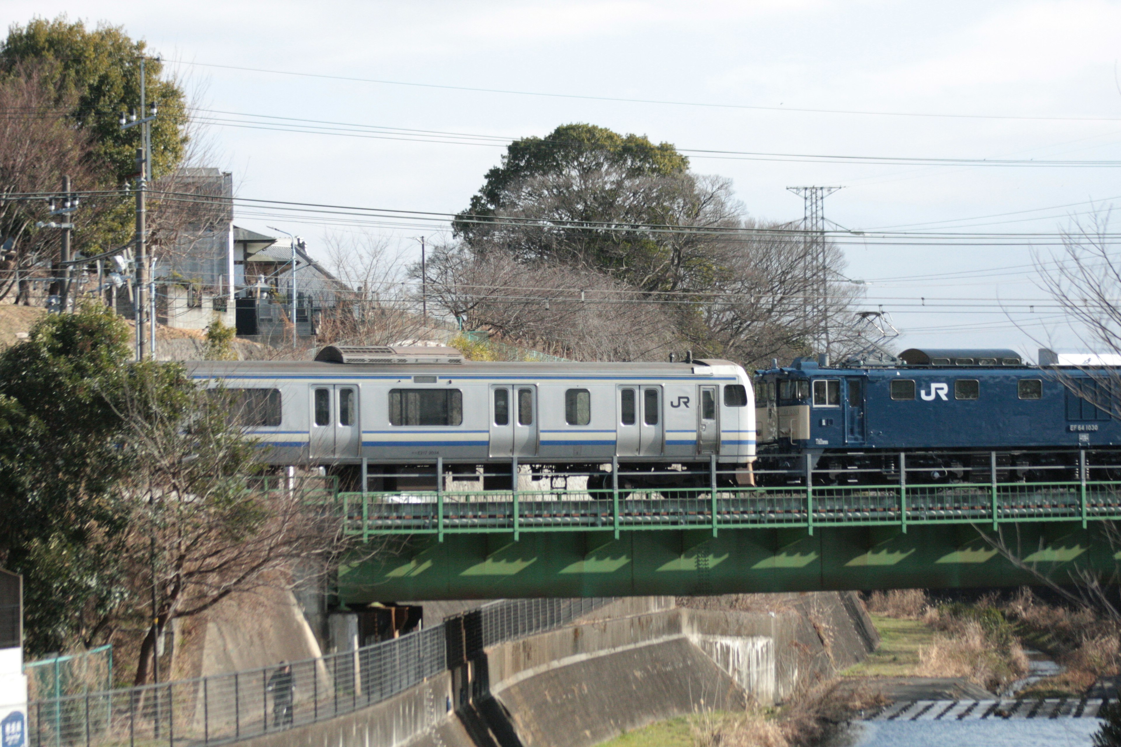 Tren cruzando un puente verde con árboles alrededor