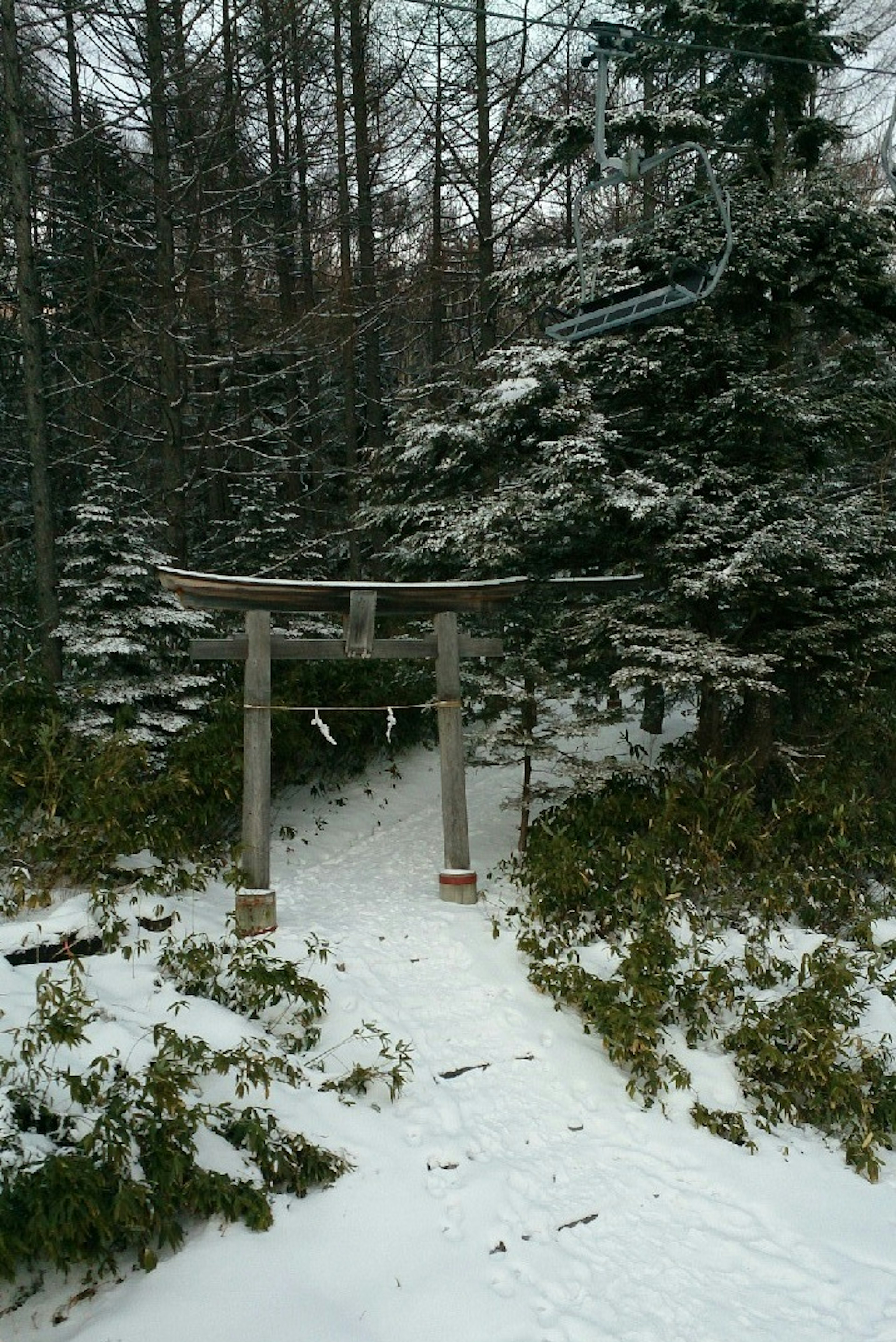 Puerta Torii en un camino forestal cubierto de nieve