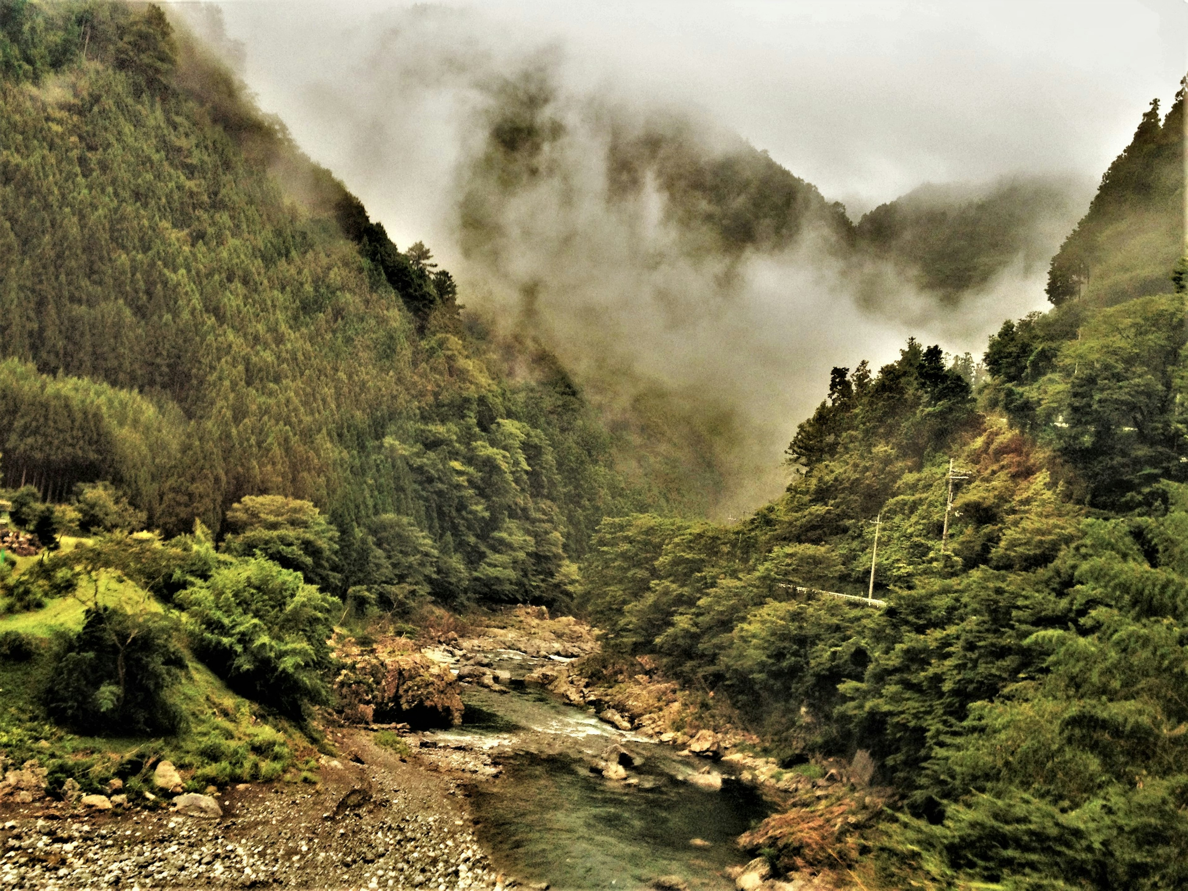 霧に包まれた山々と川の風景 緑豊かな樹木が生い茂る