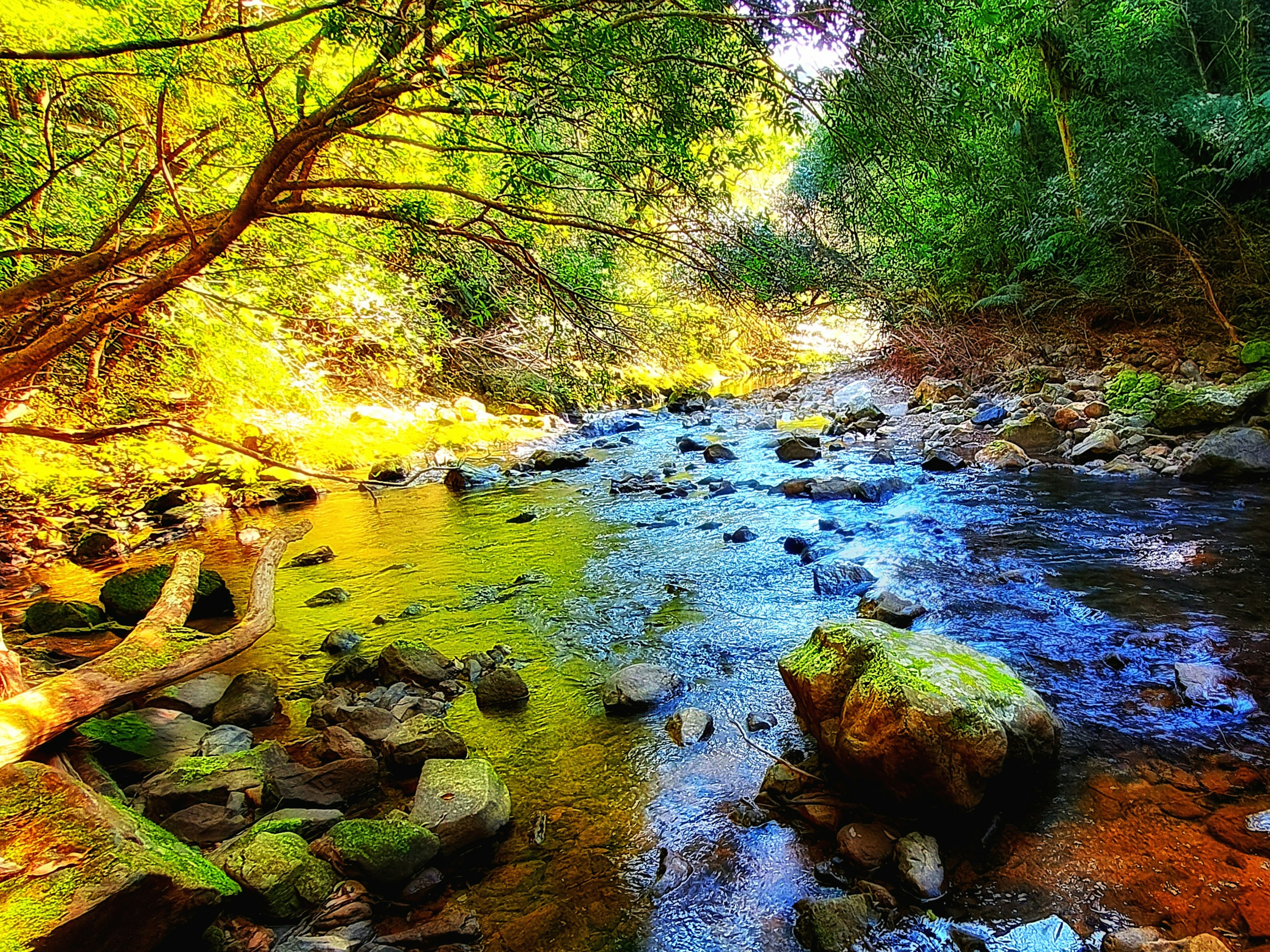 Paisaje de río sereno rodeado de árboles coloridos