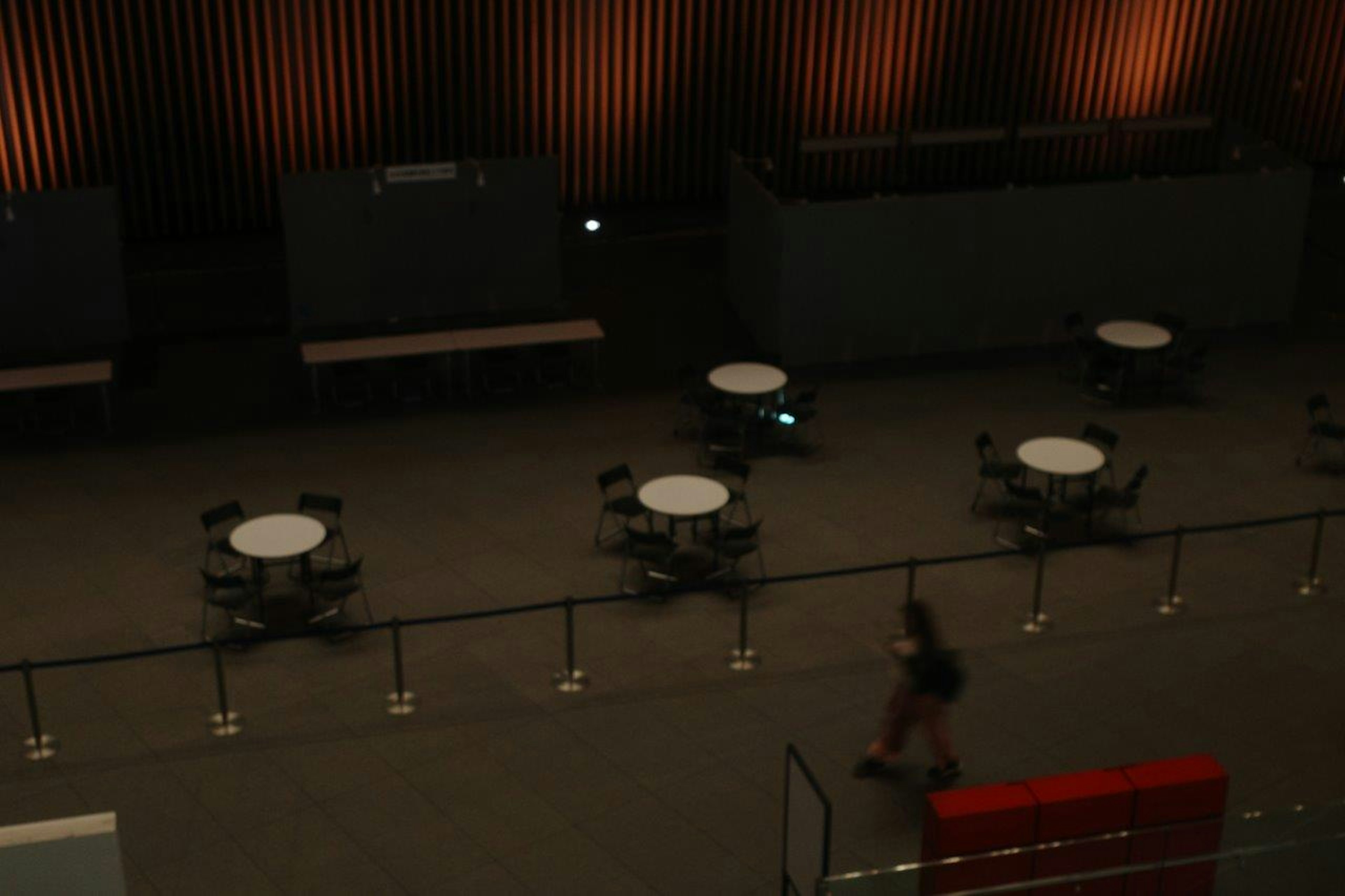 Empty cafe area with arranged tables and chairs