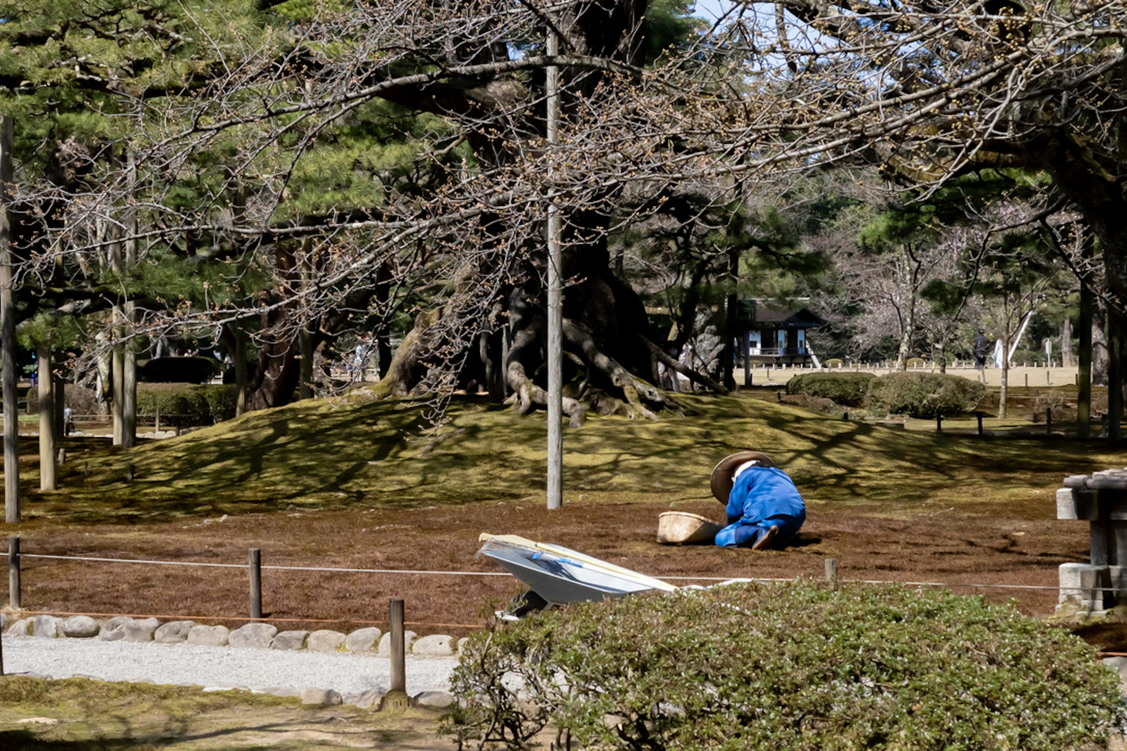 Un lavoratore in abiti blu che coltiva il terreno in un parco