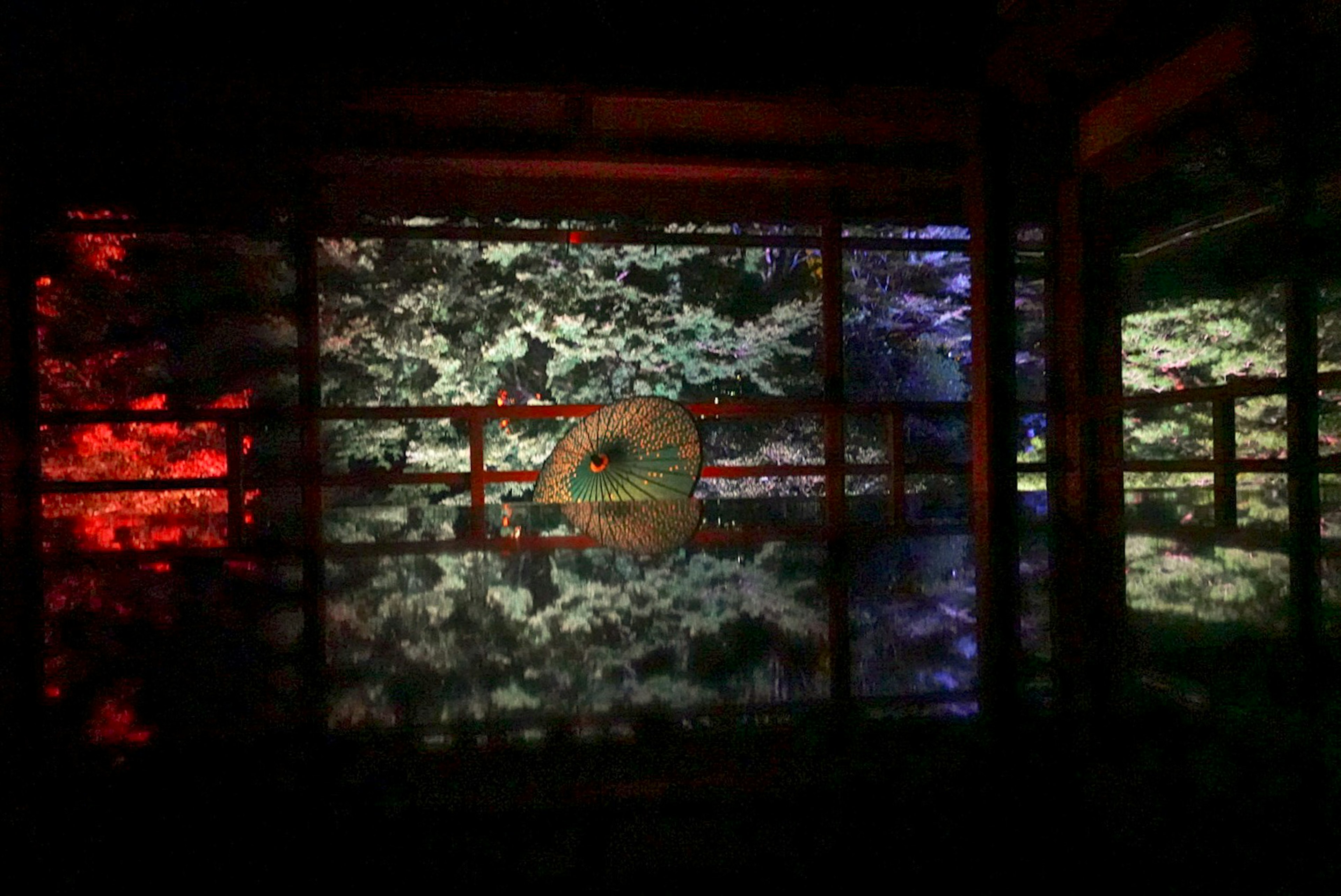 Green snake head reflected in a nighttime scene with colorful foliage