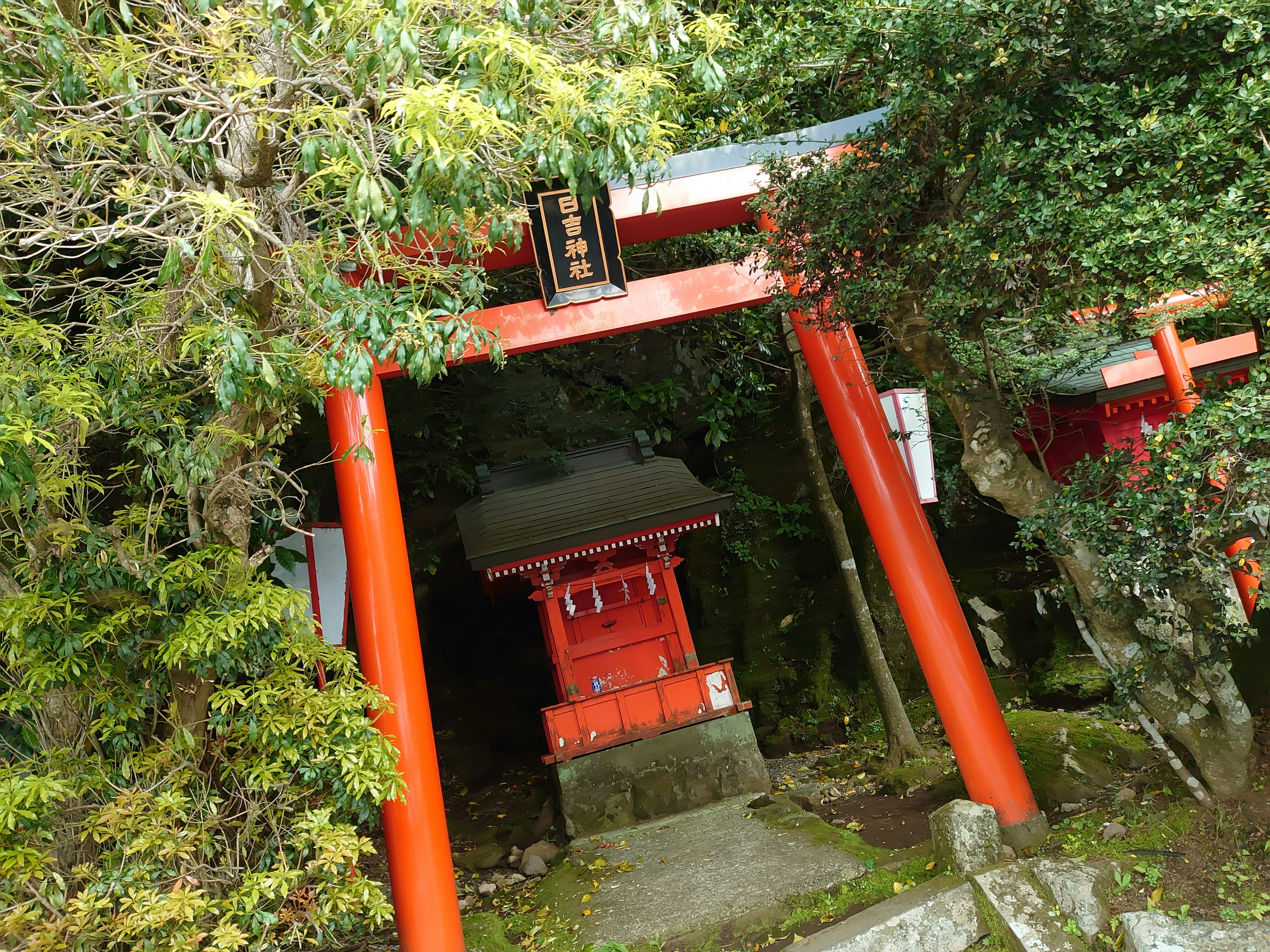 Entrée d'un sanctuaire avec des portes torii rouges entourées d'arbres verts luxuriants