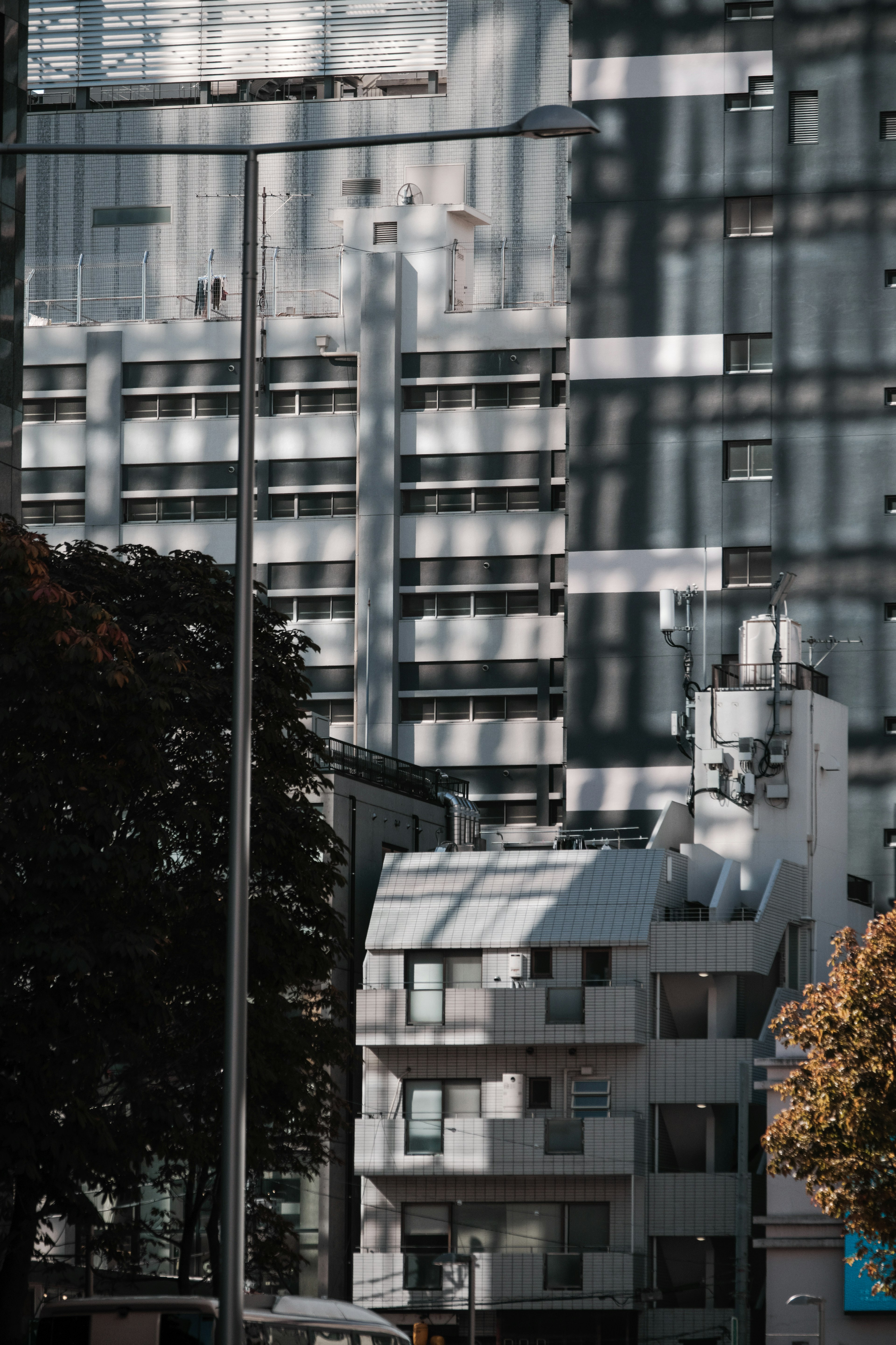 有建筑阴影的城市风景