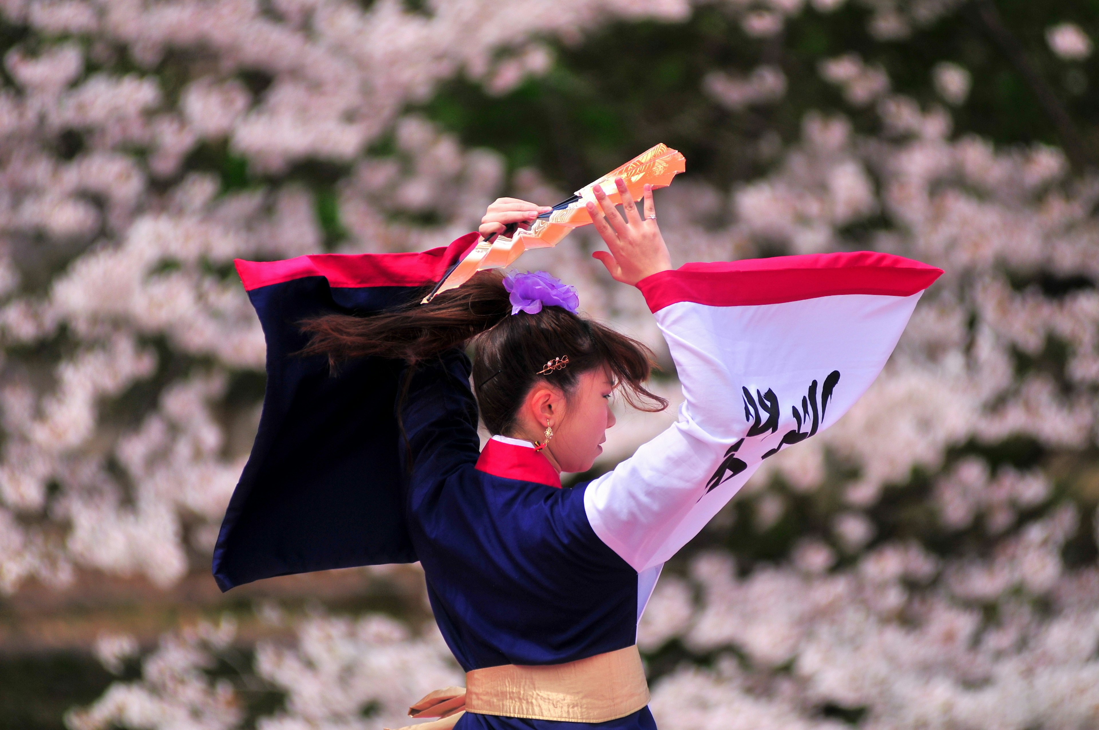 Mujer bailando con vestimenta tradicional frente a un fondo de cerezos en flor