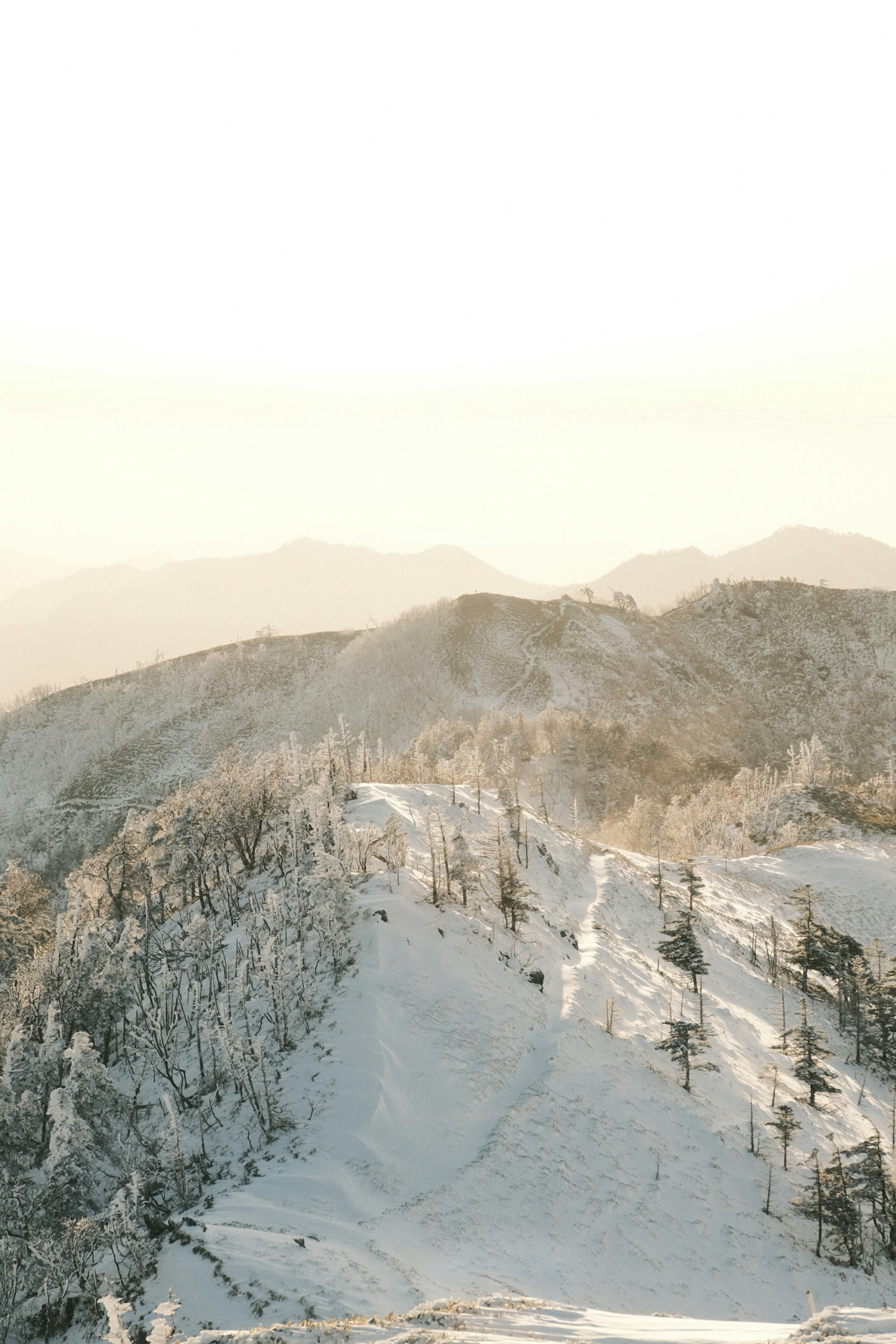 눈으로 덮인 산 풍경과 부드러운 햇빛