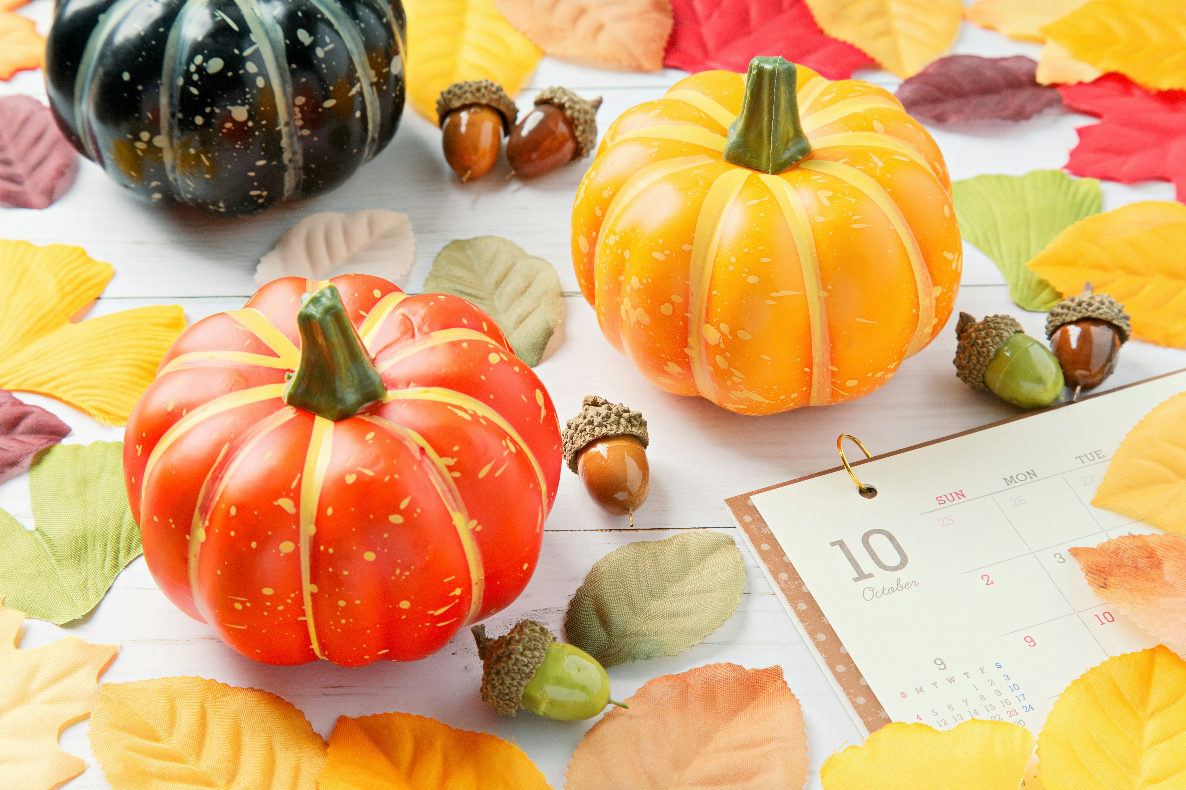 Calabazas coloridas y hojas de otoño para decoración estacional