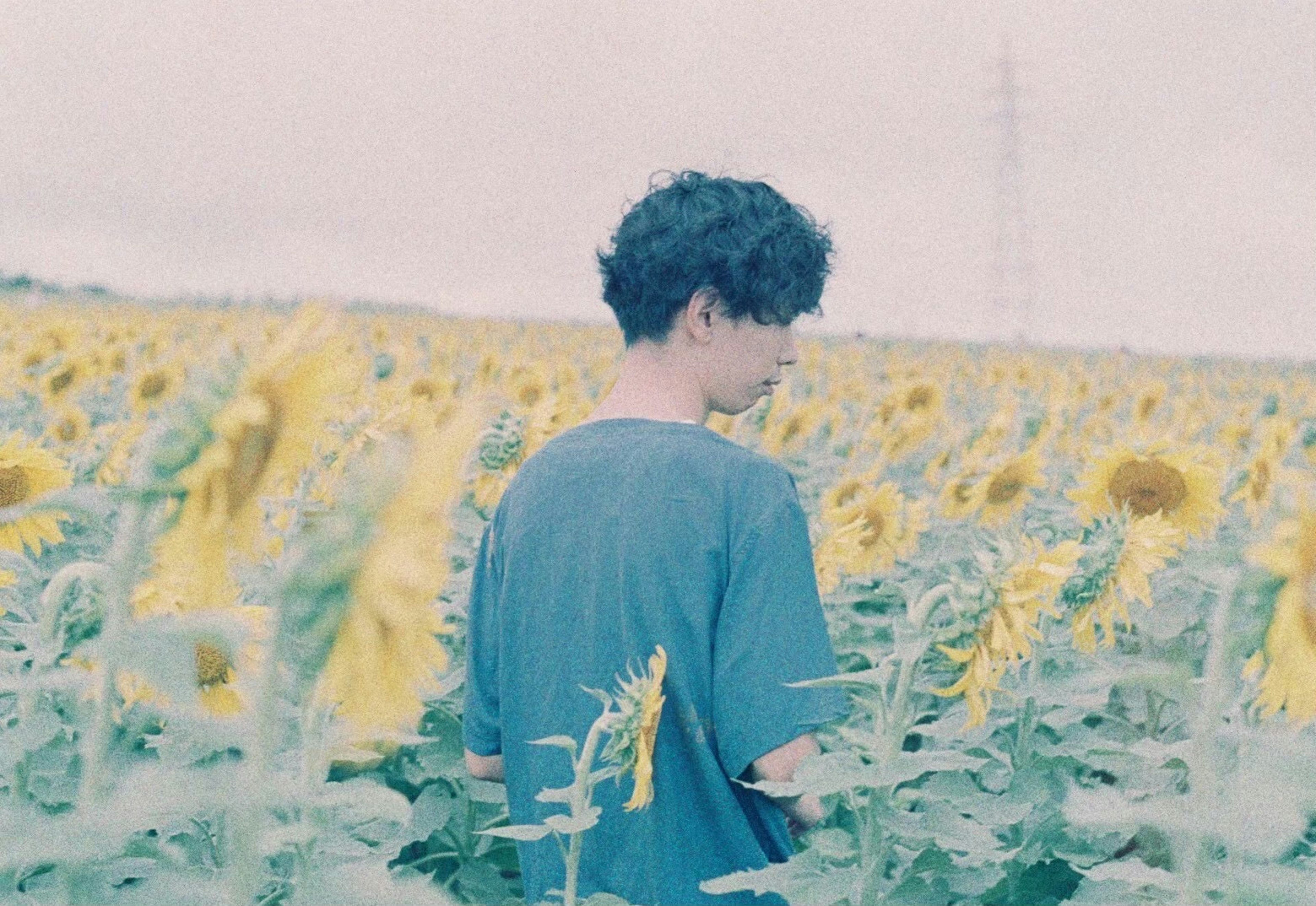 Person steht in einem Sonnenblumenfeld mit einem blauen Shirt